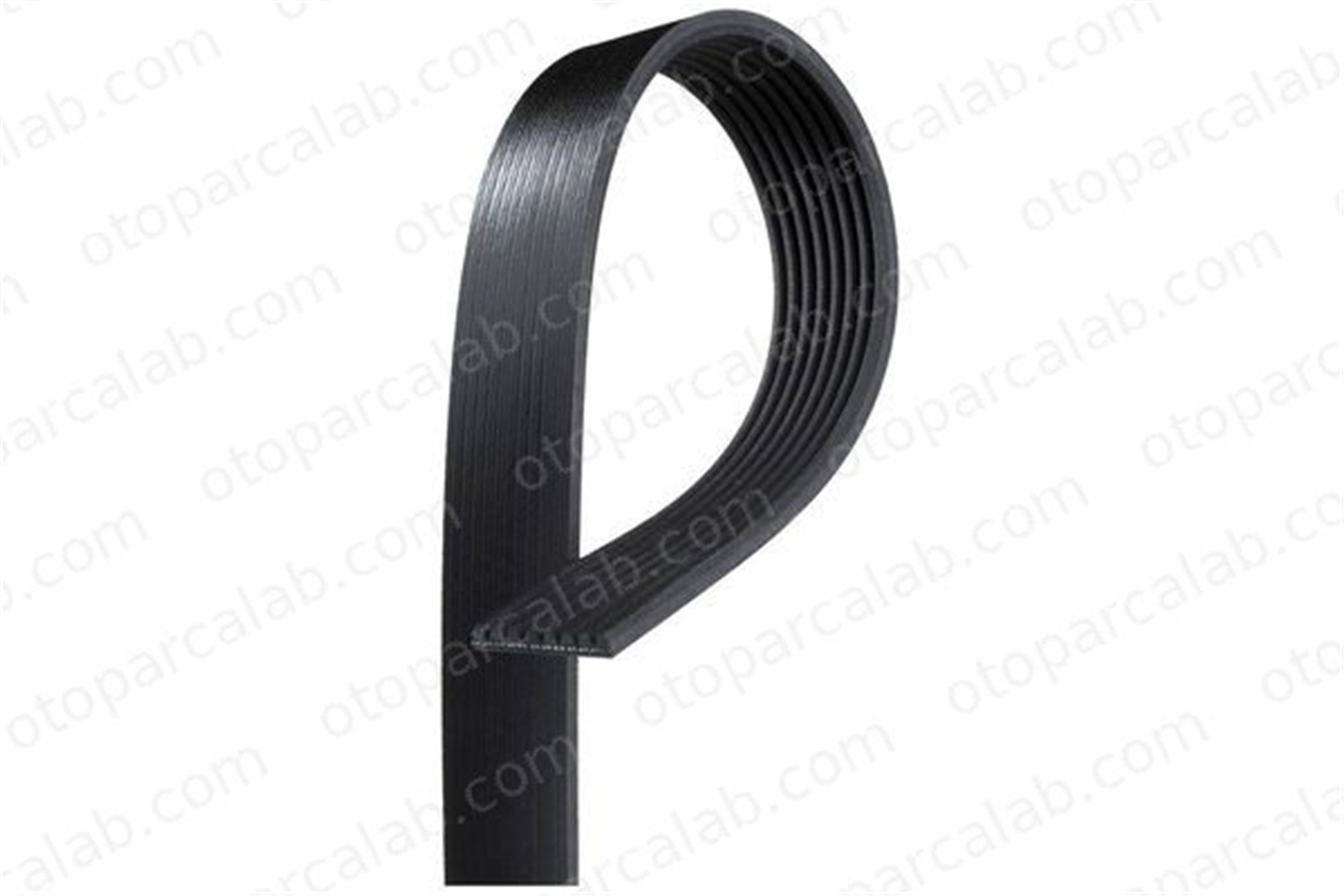 DAYCO 8PK1660HD Vantilatör Kayışı FORD Cargo CARGO II CC468620AA 3669970192