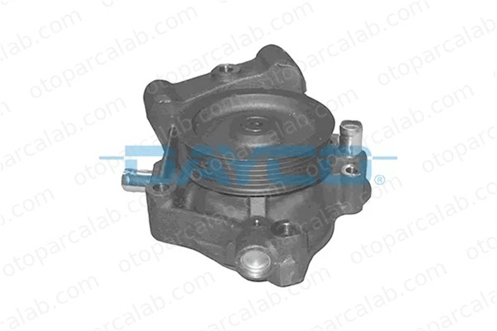 DAYCO DP562 Devirdaim Su Pompası FIAT DUCATO Minibüs/Otobüs DUCATO Panelvan/Van 504102572 1201K0