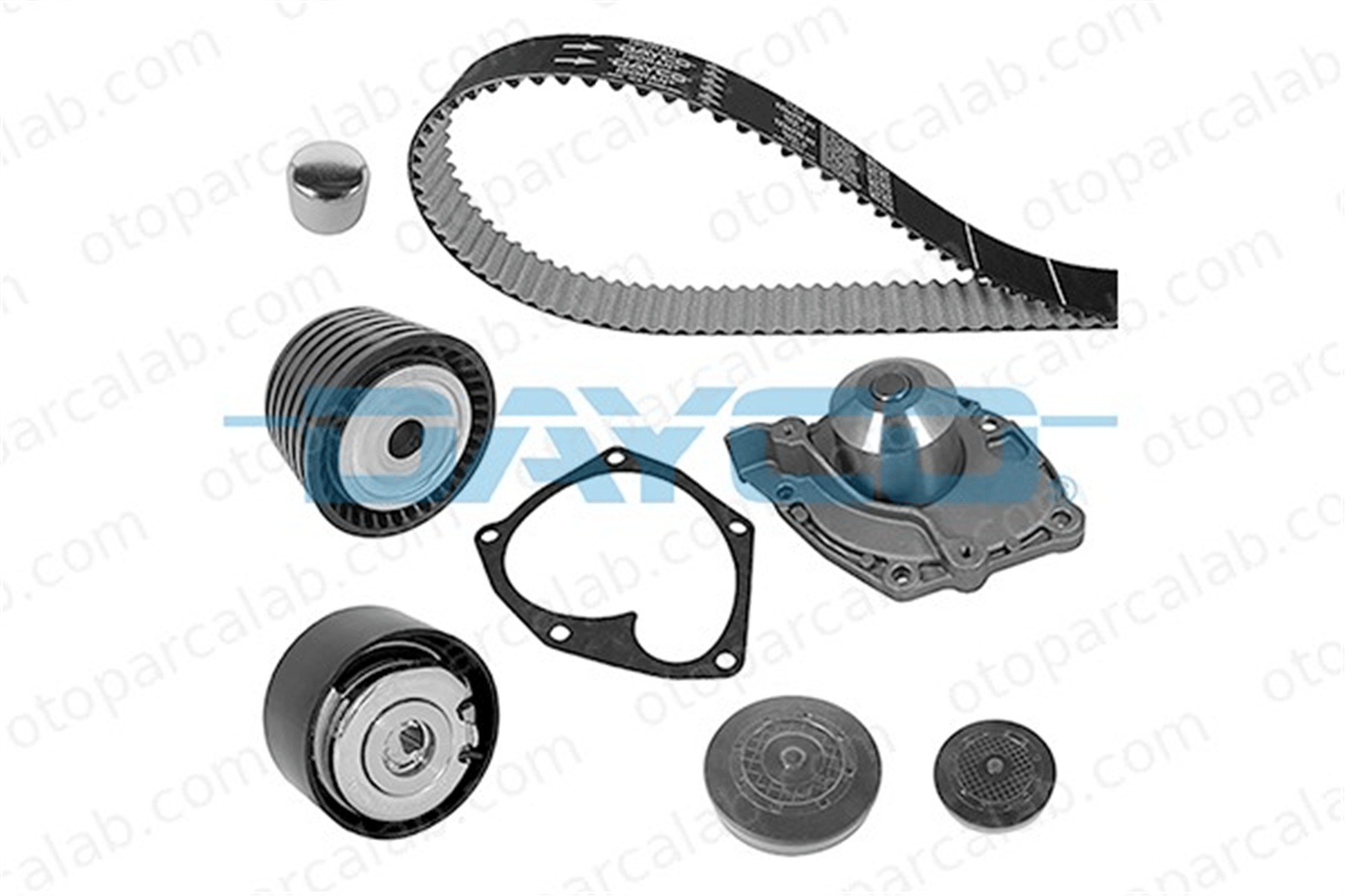 DAYCO KTBWP8990 Triger Kayış Seti RENAULT LAGUNA II Grandtour MEGANE III Coupe 119A06559R 119A04462R