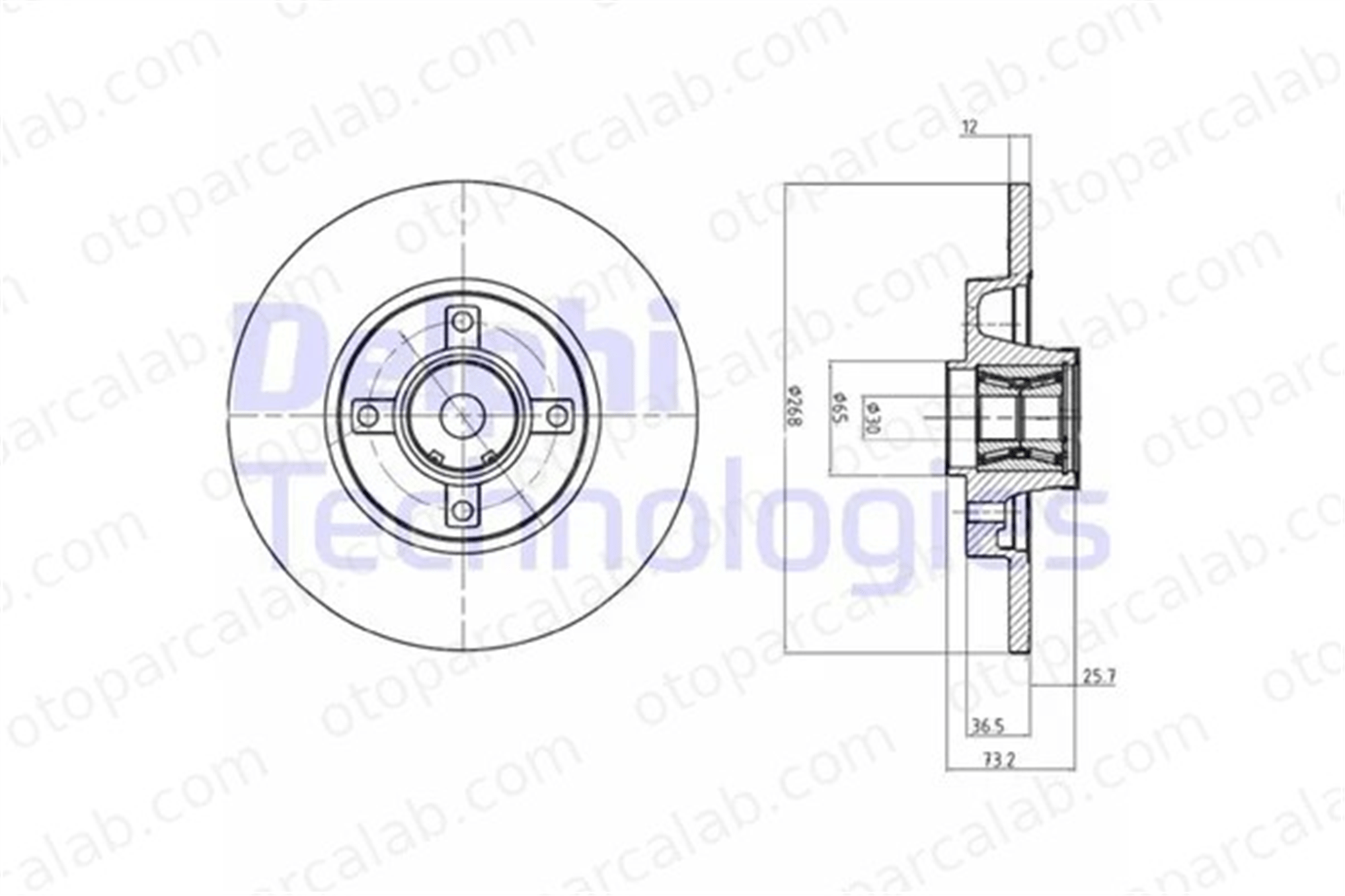 DELPHI BG9053RSC Fren Disk Ayna Arka Sağ ve Sol PEUGEOT 308 SW I CITROËN BERLINGO Kasa/büyük limuzin 424945 1611840880