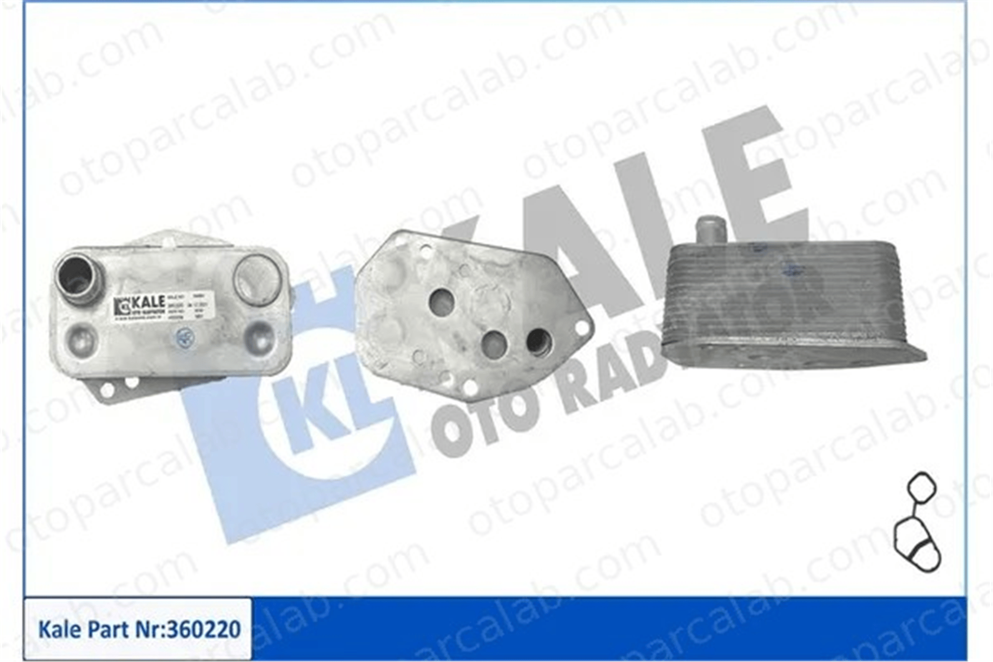 DELPHI BG9488RSC Fren Disk Ayna Arka Sağ ve Sol RENAULT SCÉNIC IV GRAND SCÉNIC IV 432024962R 432021878R