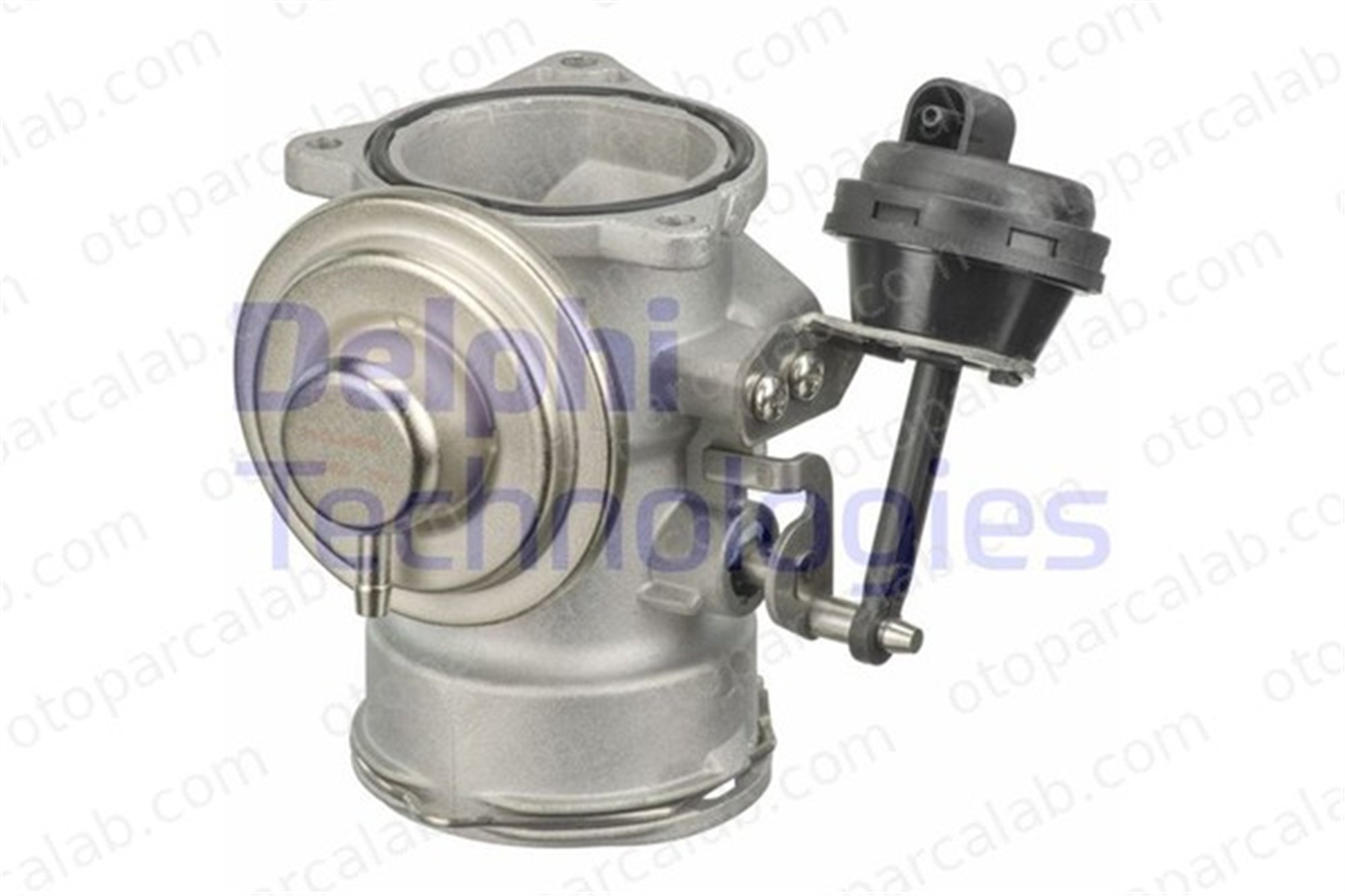 DELPHI EG10409-12B1 Egr Valfi SEAT ALHAMBRA VW SHARAN 38131501J 038131501J