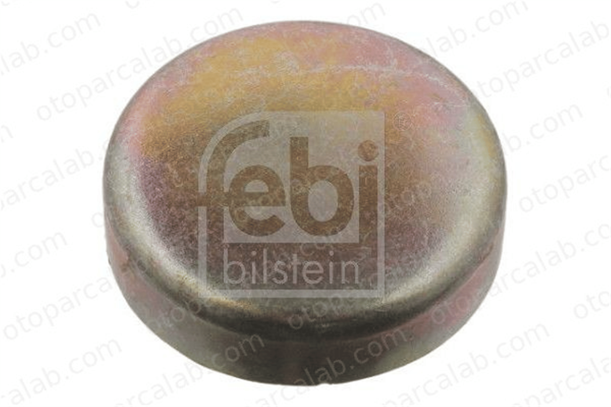 FEBI BILSTEIN 07295 Motor Su Tapası DAF XF II XD 17111714712 7119937331