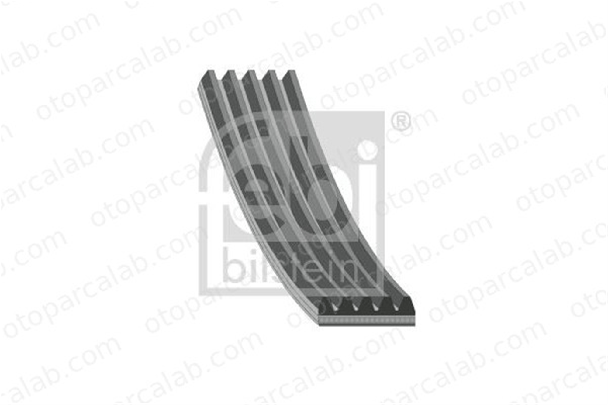 FEBI BILSTEIN 183146 Vantilatör Kayışı LANCIA YPSILON FIAT FIORINO Kasa/büyük limuzin 55221257