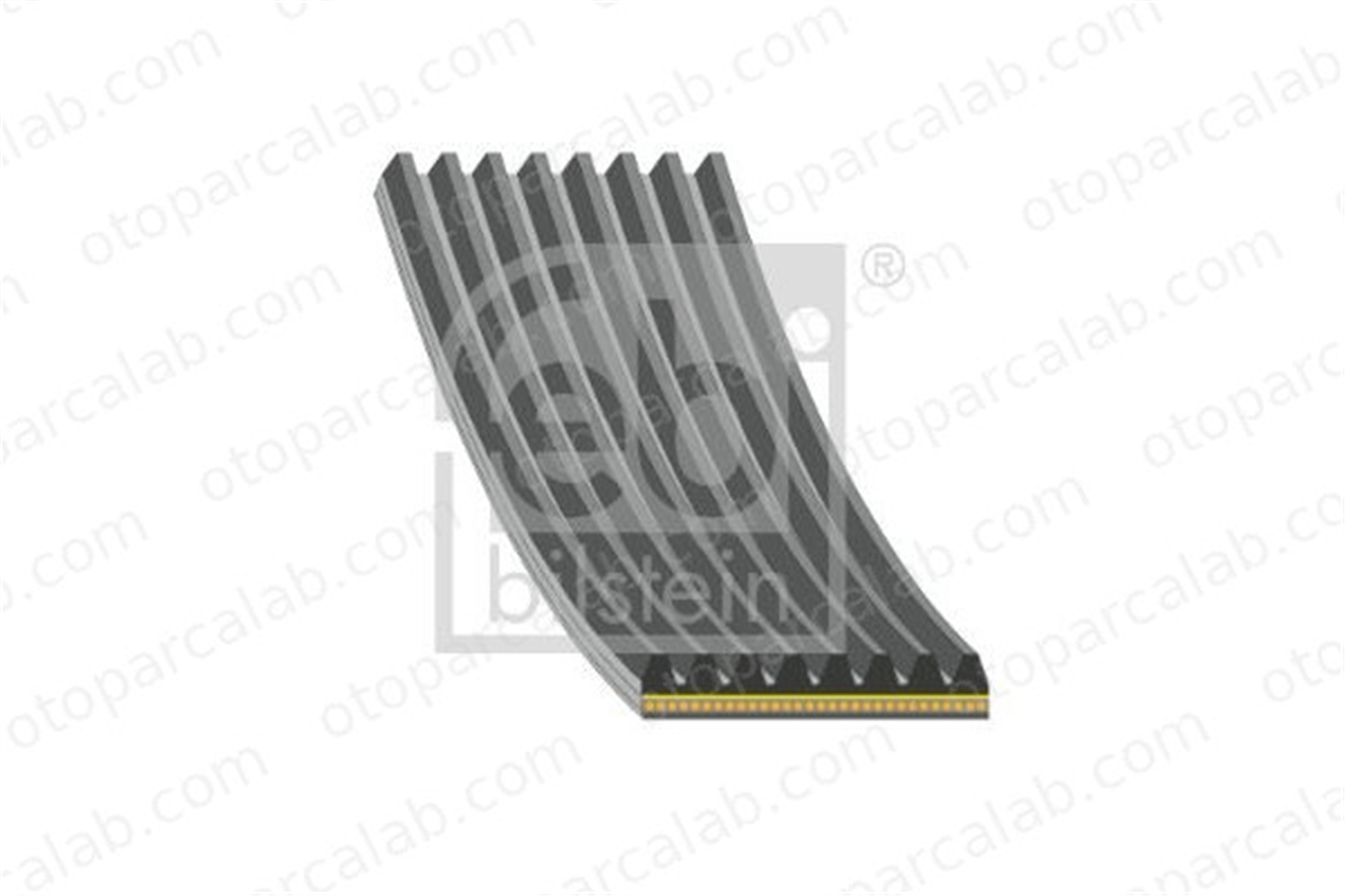 FEBI BILSTEIN 184924 Vantilatör Kayışı BMW 3 3 Touring 11288597653