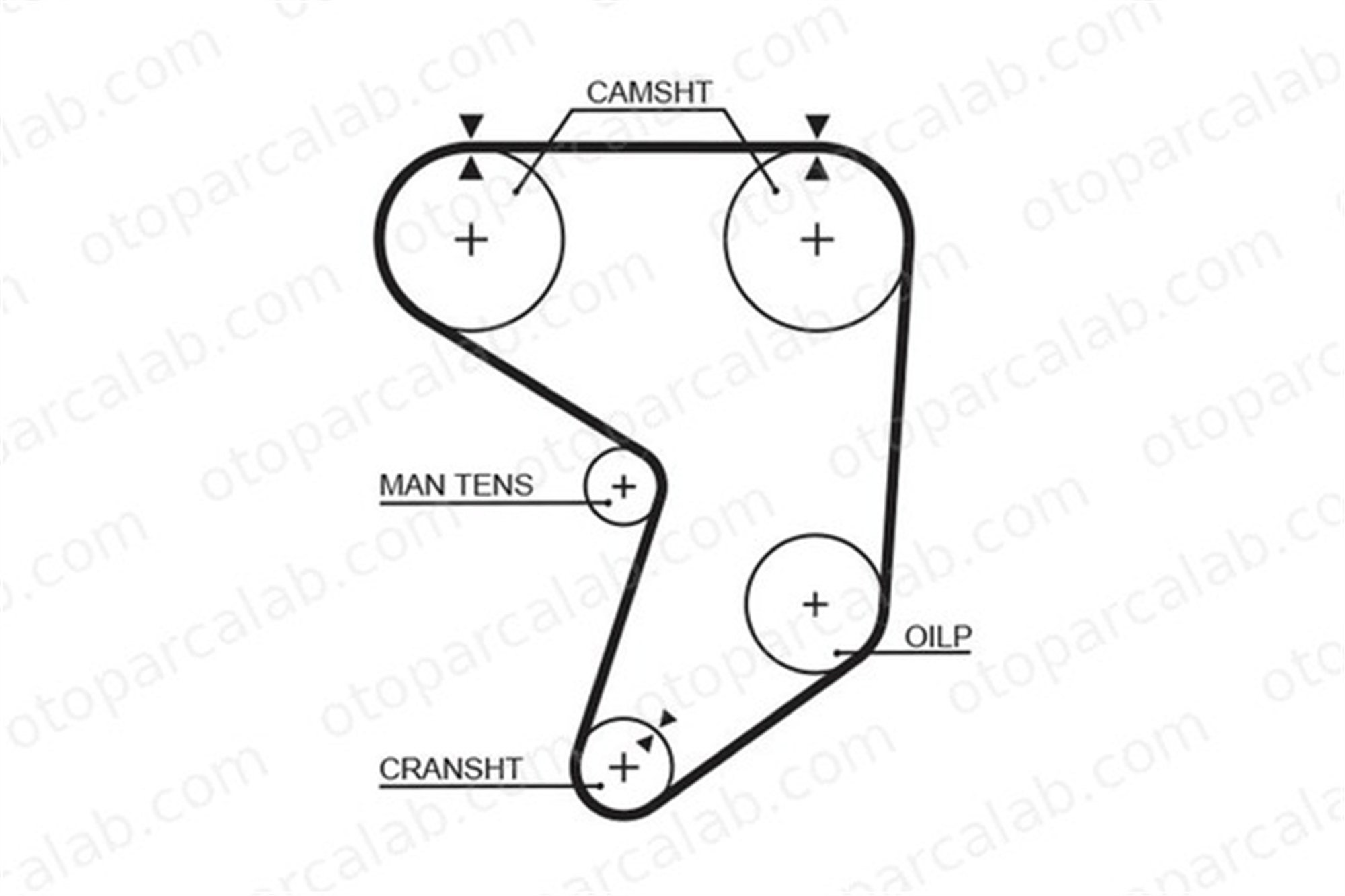 GATES 5195XS Triger Kayışı TOYOTA SUPRA LOTUS ELAN 1356842010 PMTB139