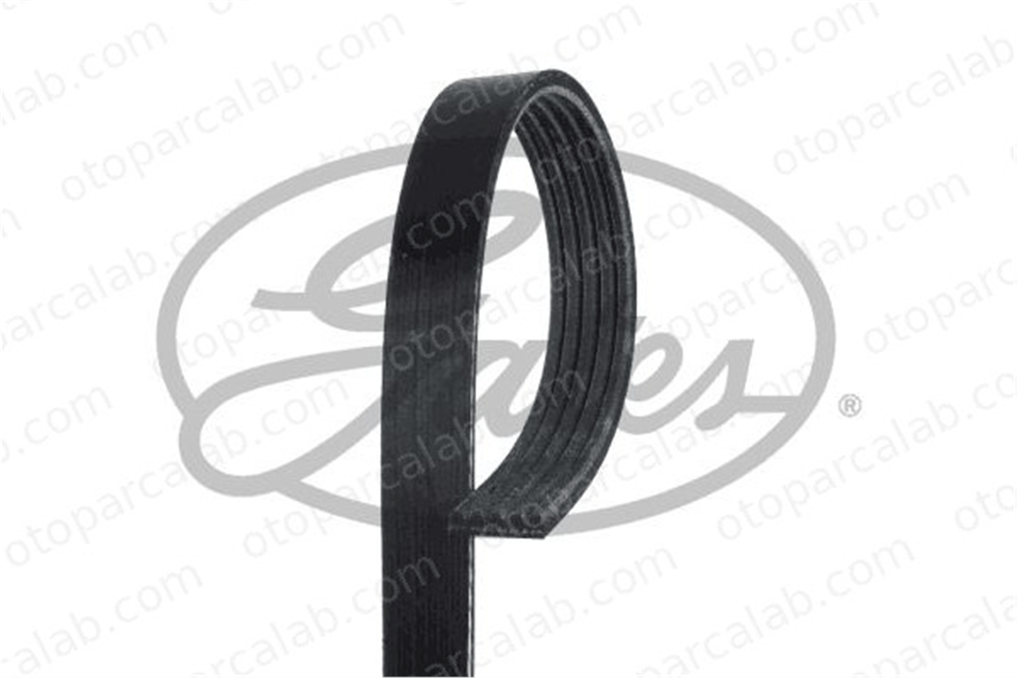 GATES 5PK1210 Vantilatör Kayışı OPEL ASTRA G Station wagon ASTRA G Kombi van 2521203200 1340054