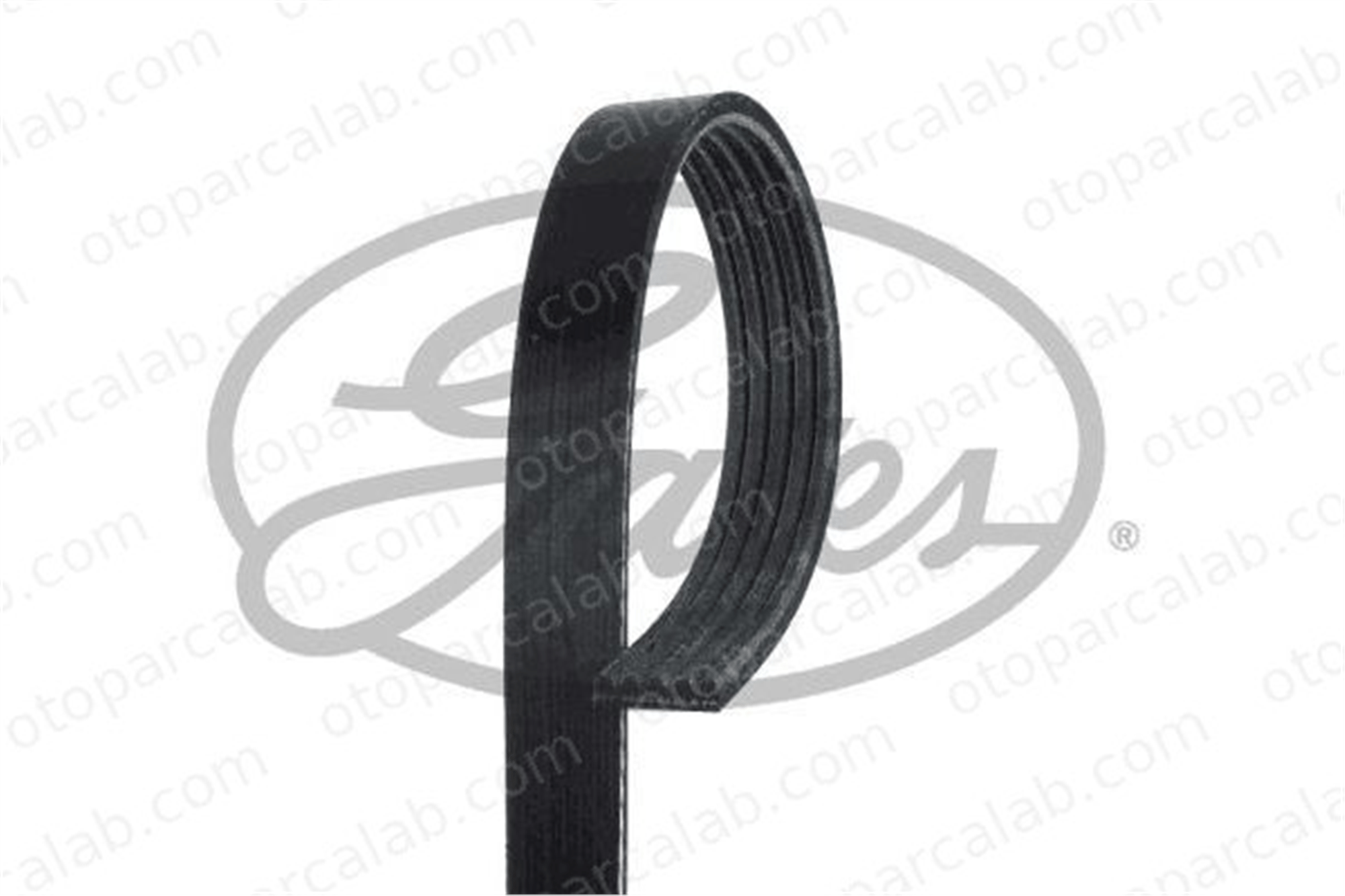 GATES 5PK1683 Vantilatör Kayışı OPEL ASTRA K ASTRA K Sports Tourer 55591186 1340077