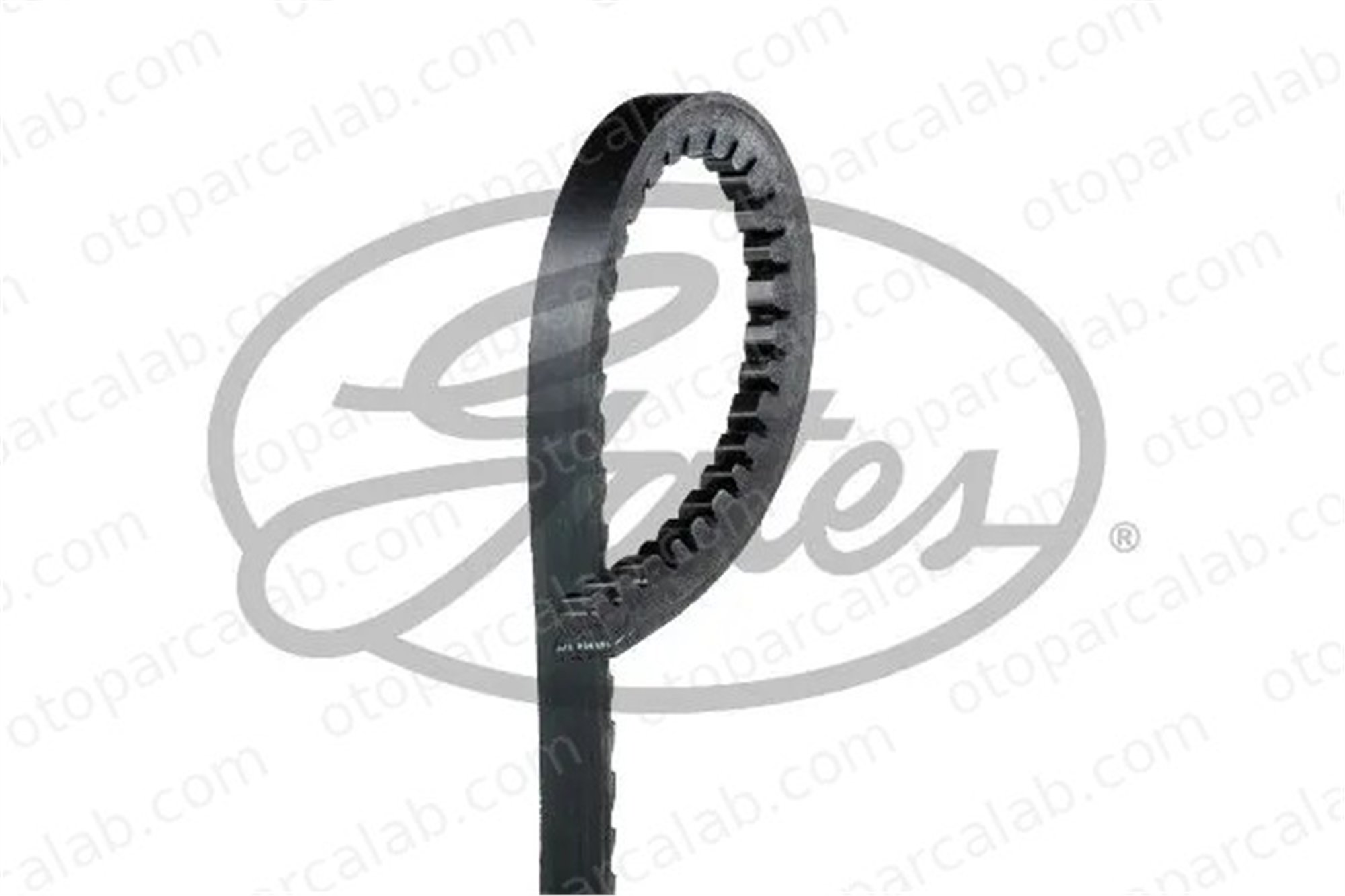 GATES 6206MC Vantilatör Kayışı CITROËN C15 Kasa/büyük limuzin C15 Station wagon 117022383400 60523210