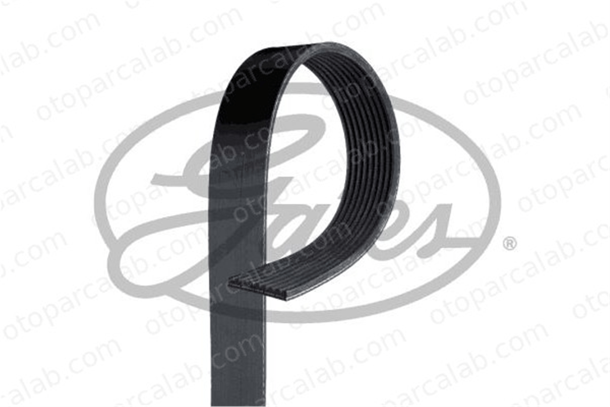 GATES 9PK1920HD Vantilatör Kayışı MERCEDES-BENZ AROCS ACTROS MP4 / MP5 9937796 0009937796