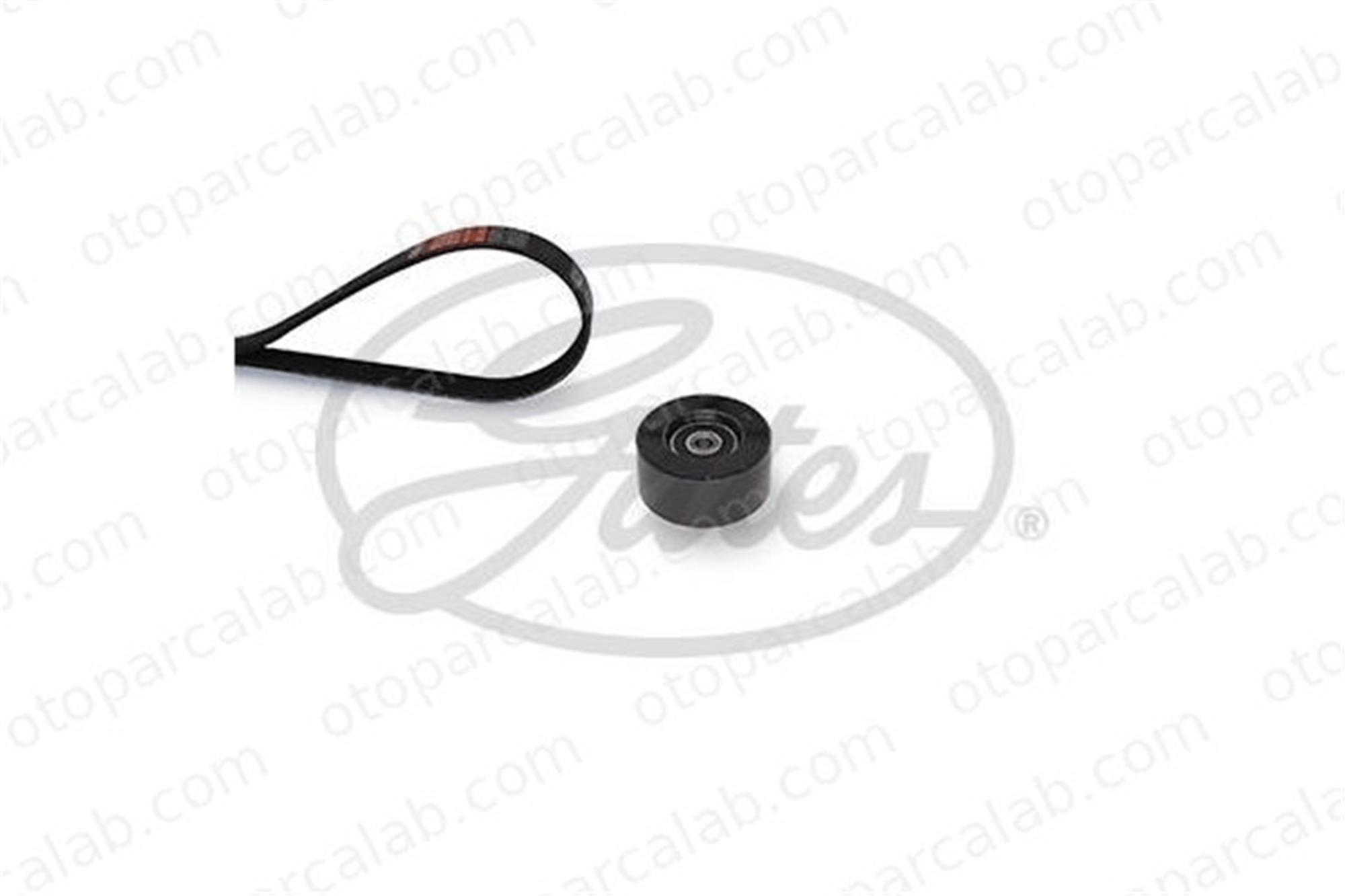 GATES K017PK1043 Vantilatör Kayış Seti NISSAN JUKE JUKE Van