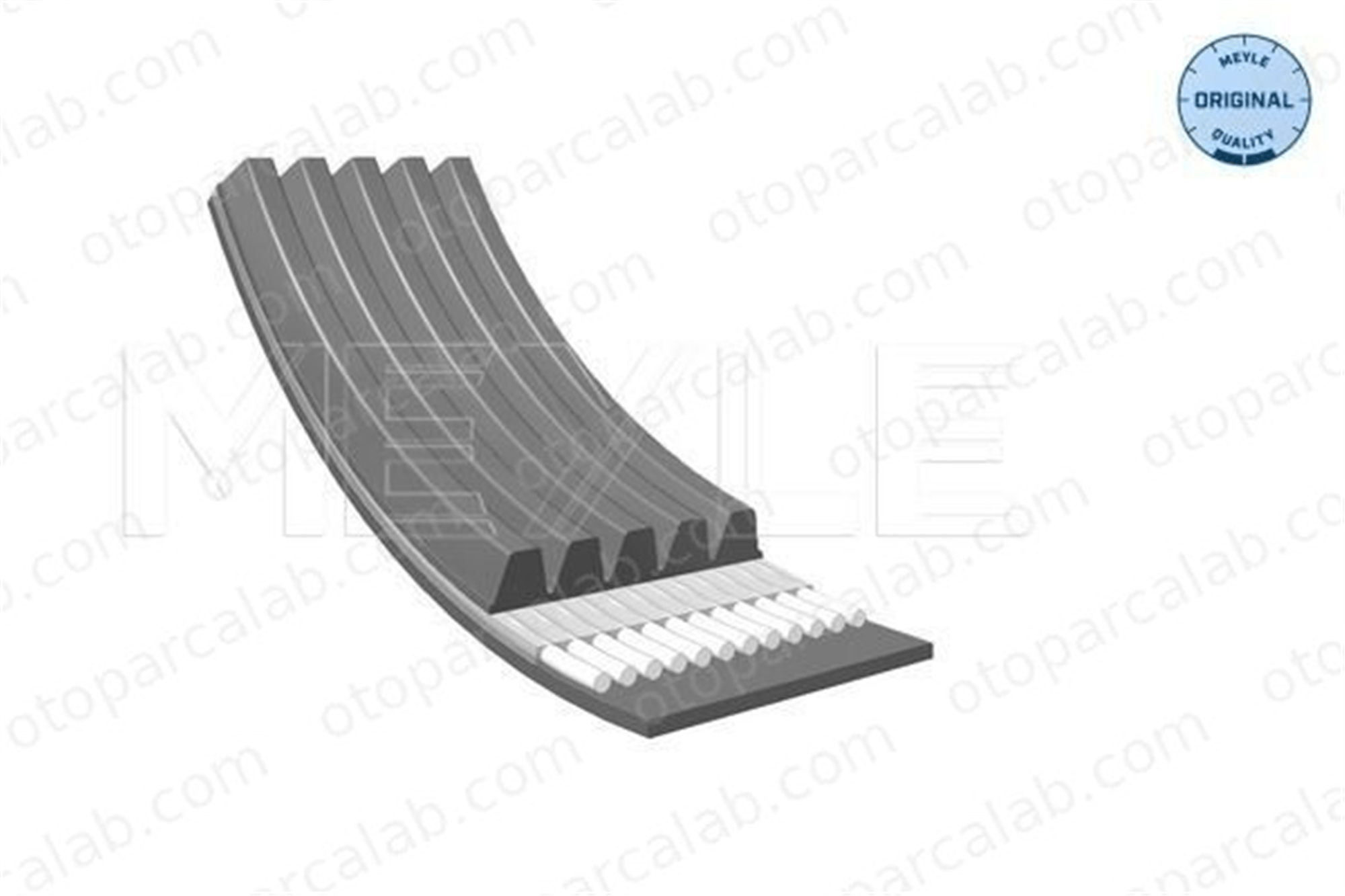 GATES RDM1008K5 Vantilatör Kayışı MAZDA 626 III Coupe 626 III Hatchback 11281742029 60560616
