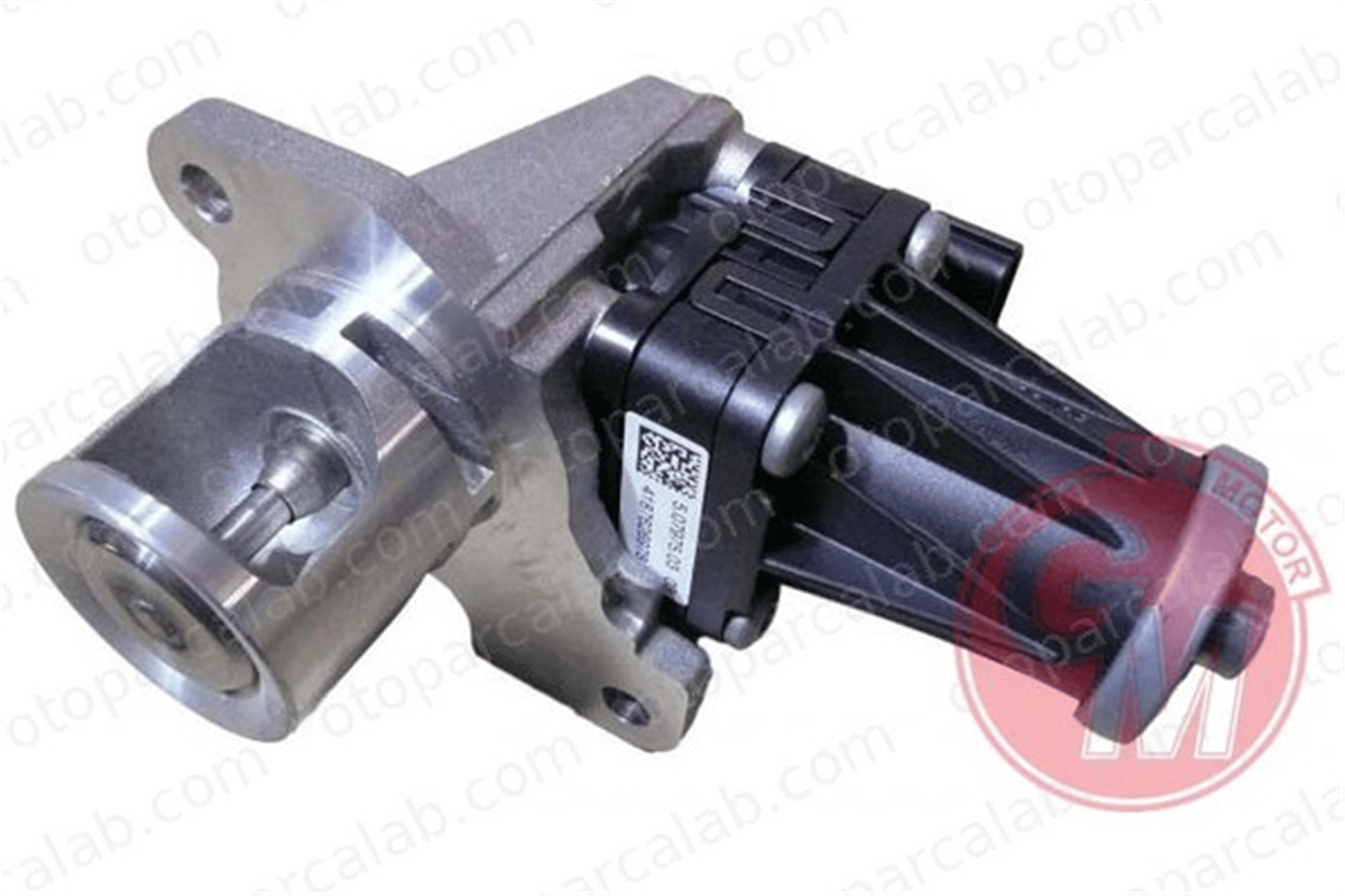 GUA 41594 Egr Valfi RENAULT KANGOO / GRAND KANGOO II KANGOO Express 8200129863 6071400060
