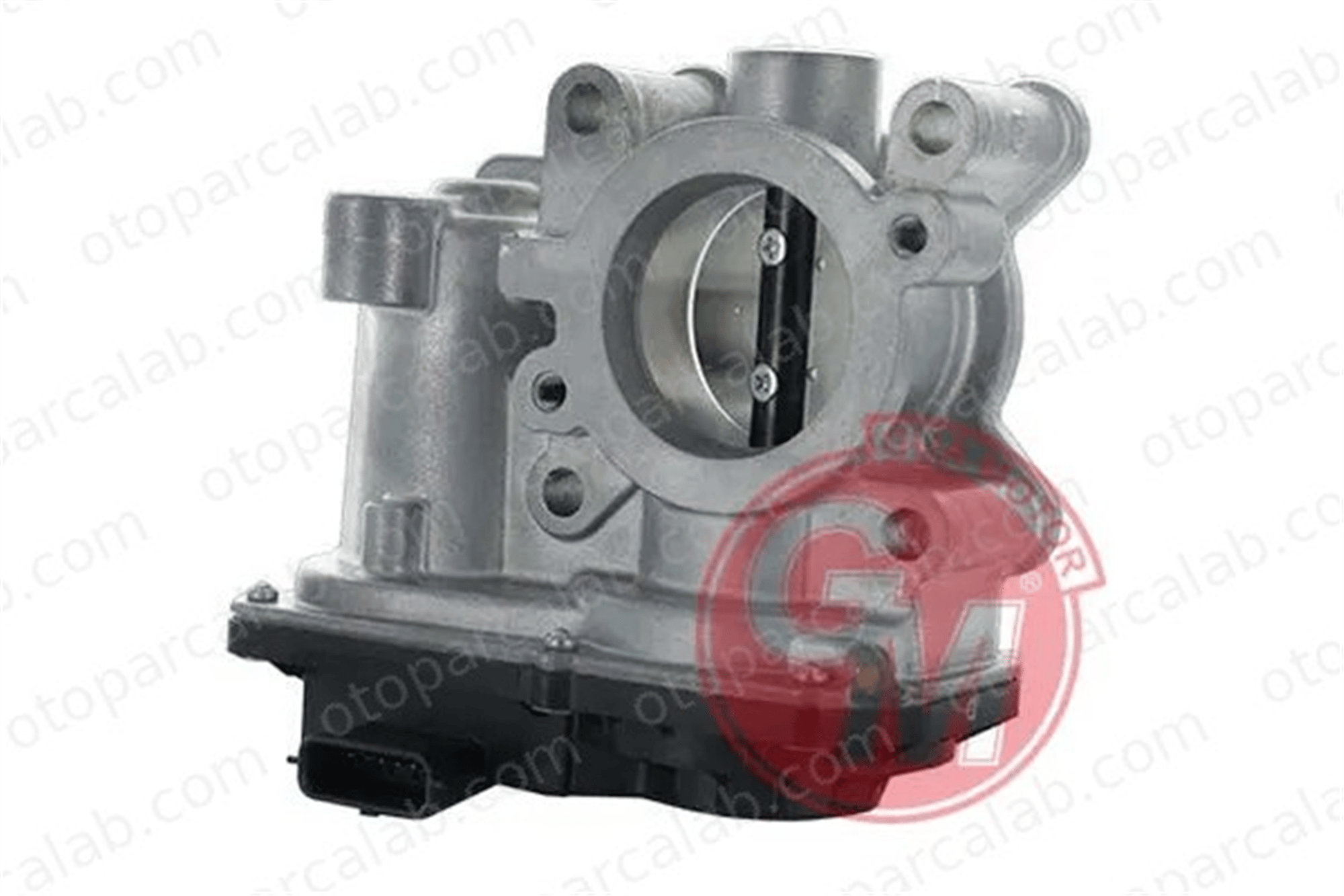 GUA 41742 Gaz Kelebeği RENAULT CLIO IV CLIO IV Grandtour 161206038R 2810900054