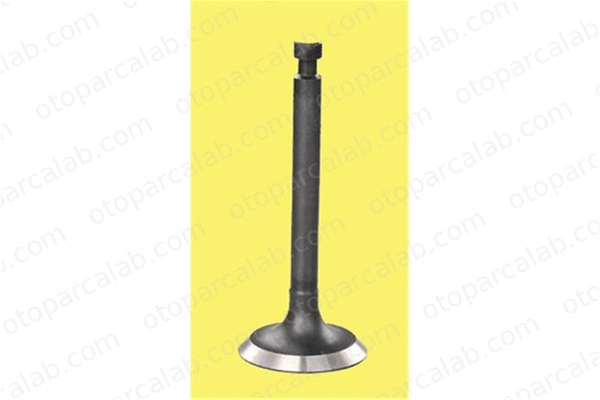 GUNES 4019-4020 Supap GÜNEŞ 4019-4020 OPEL ASTRA G Coupe ASTRA G Hatchback 641048 641357