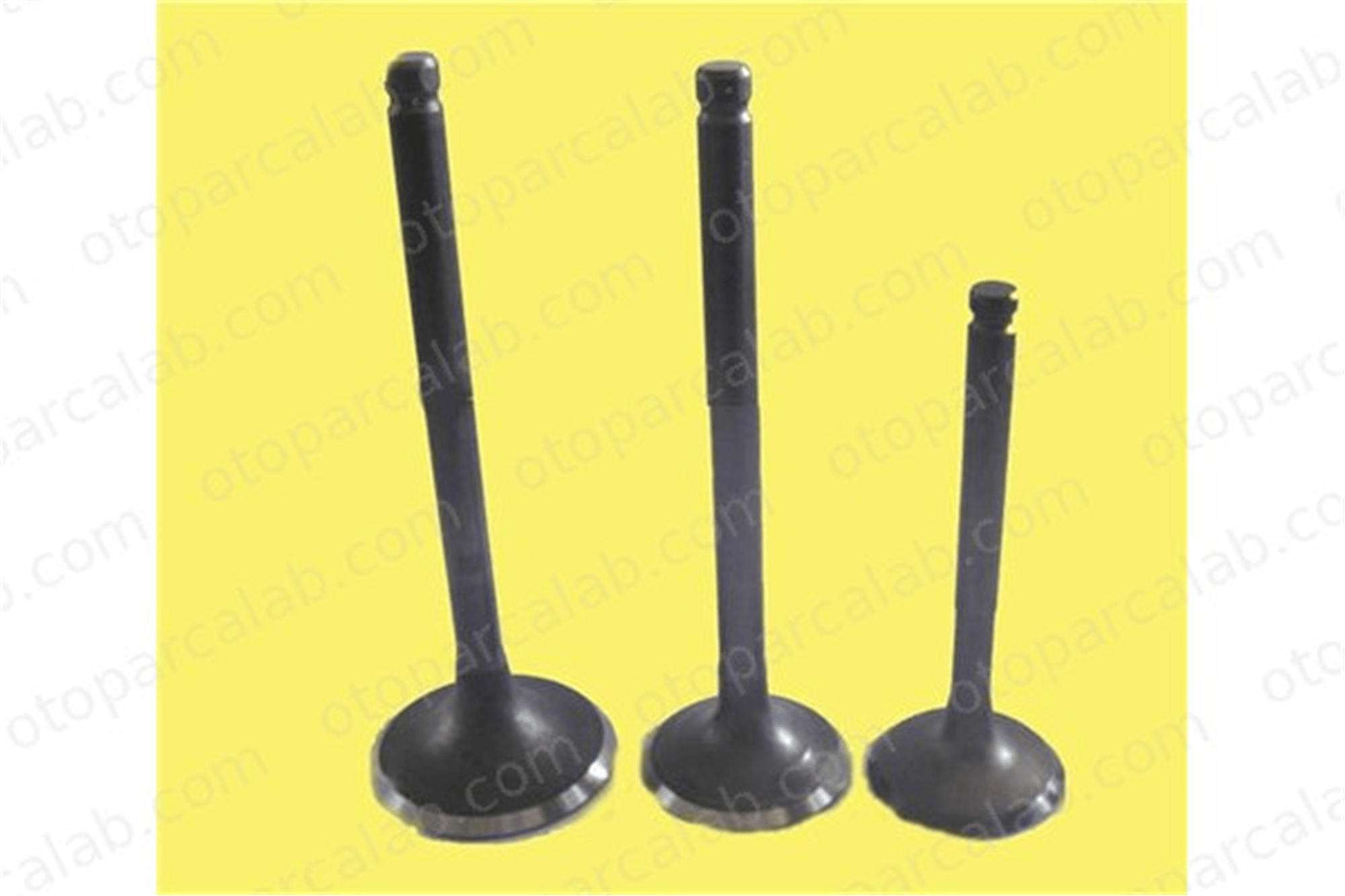 GUNES 4046-4047 Supap GÜNEŞ 4046-4047 OPEL VECTRA A OMEGA A 642667 642829