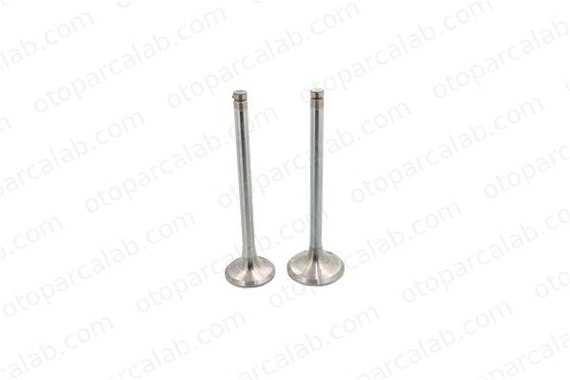 GUNES 5641-5642/1 Supap GÜNEŞ 5641-5642/1 TOYOTA COROLLA COROLLA Compact 1371116060 1371516060