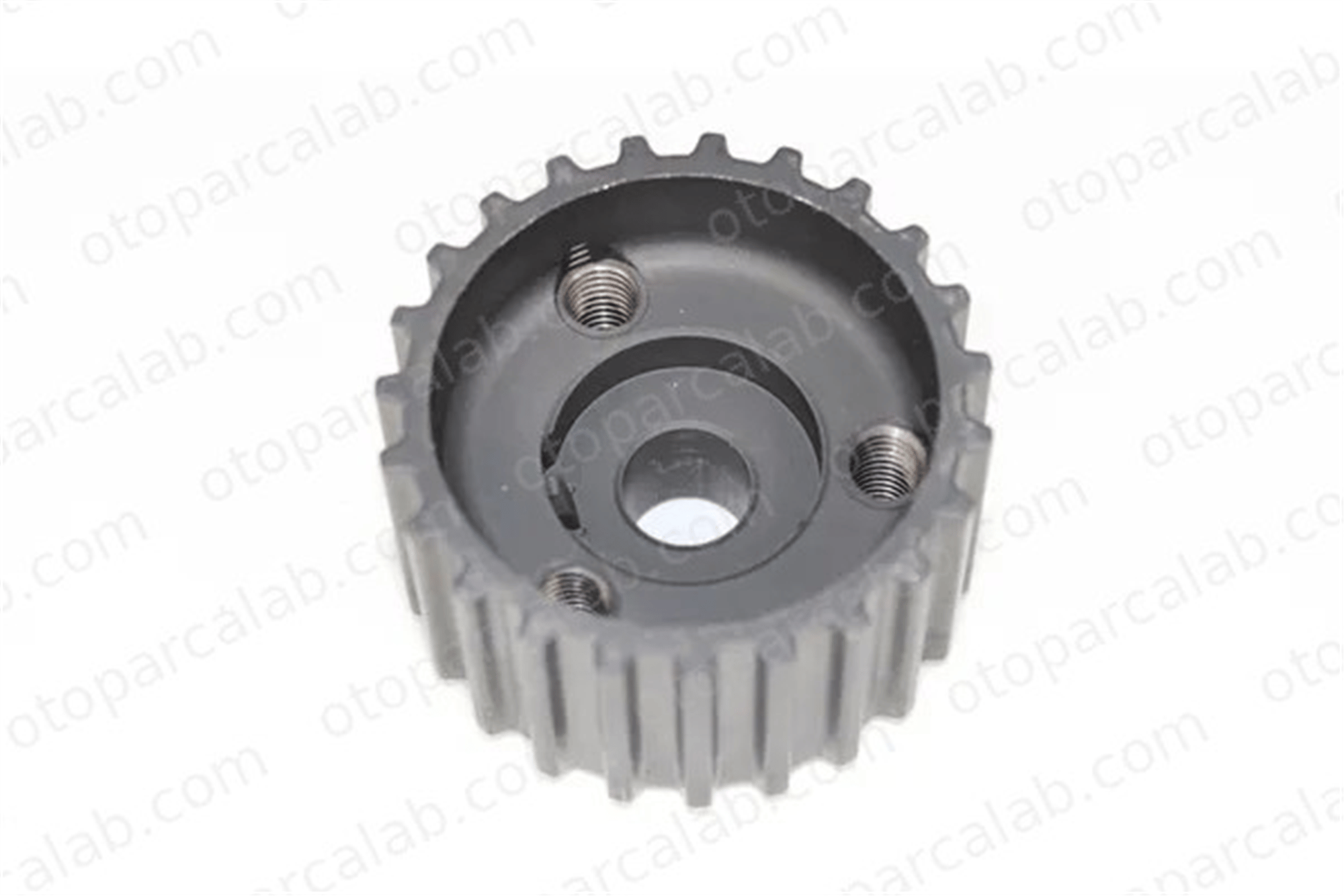 MOTORTEC TFS0230 Krank Dişli 55203781
