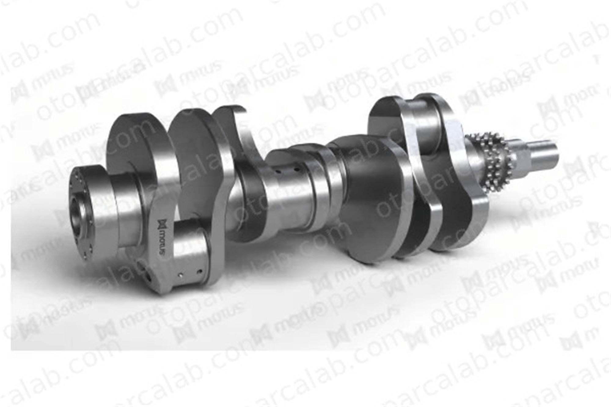 MOTUS 1403 Krank