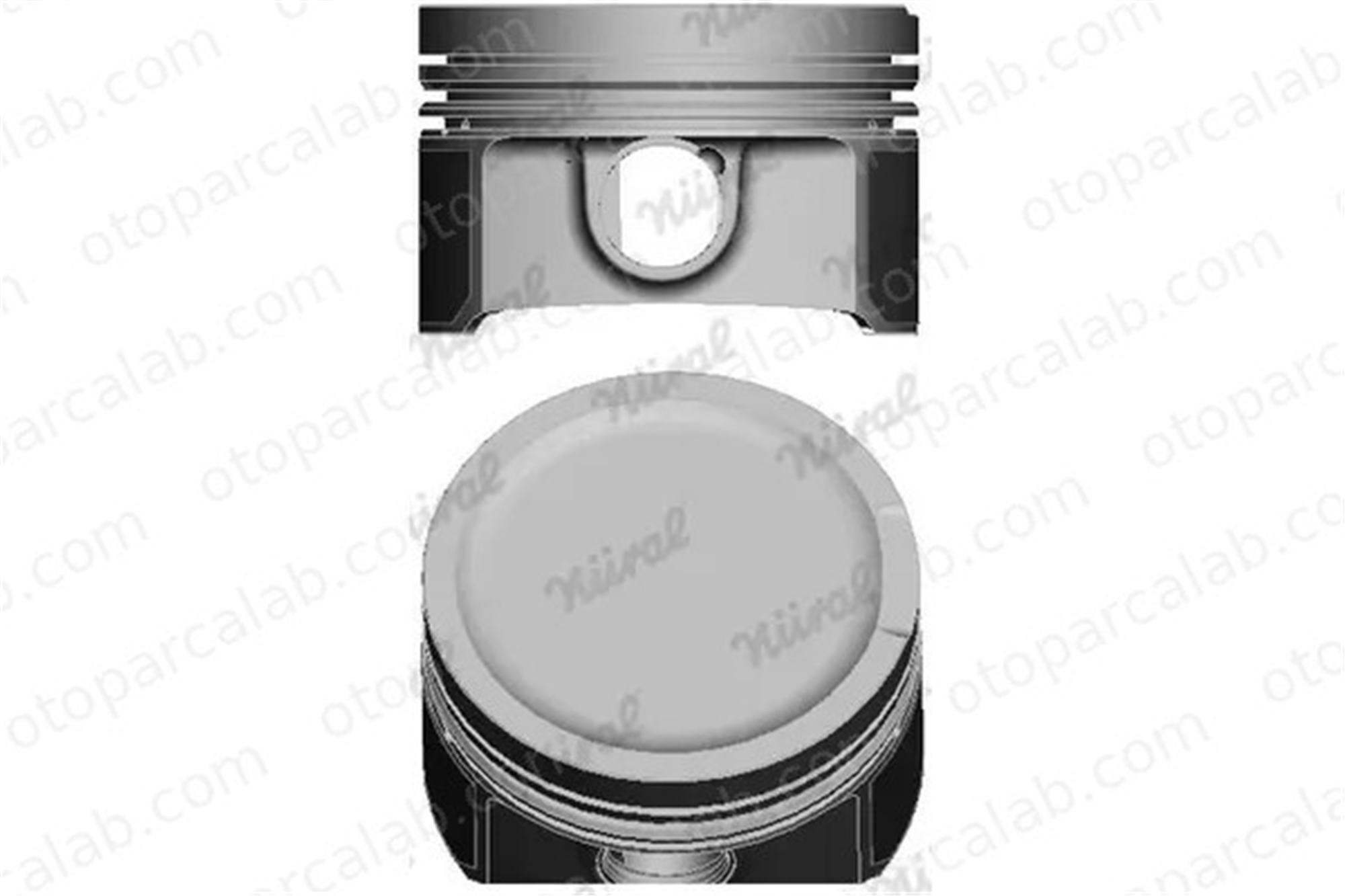 NURAL 8772202STD000G Piston (81.00MM-STD) NÜRAL 8772202STD000G AUDI A3 A6 C5 Avant 6A107065J 58107065F