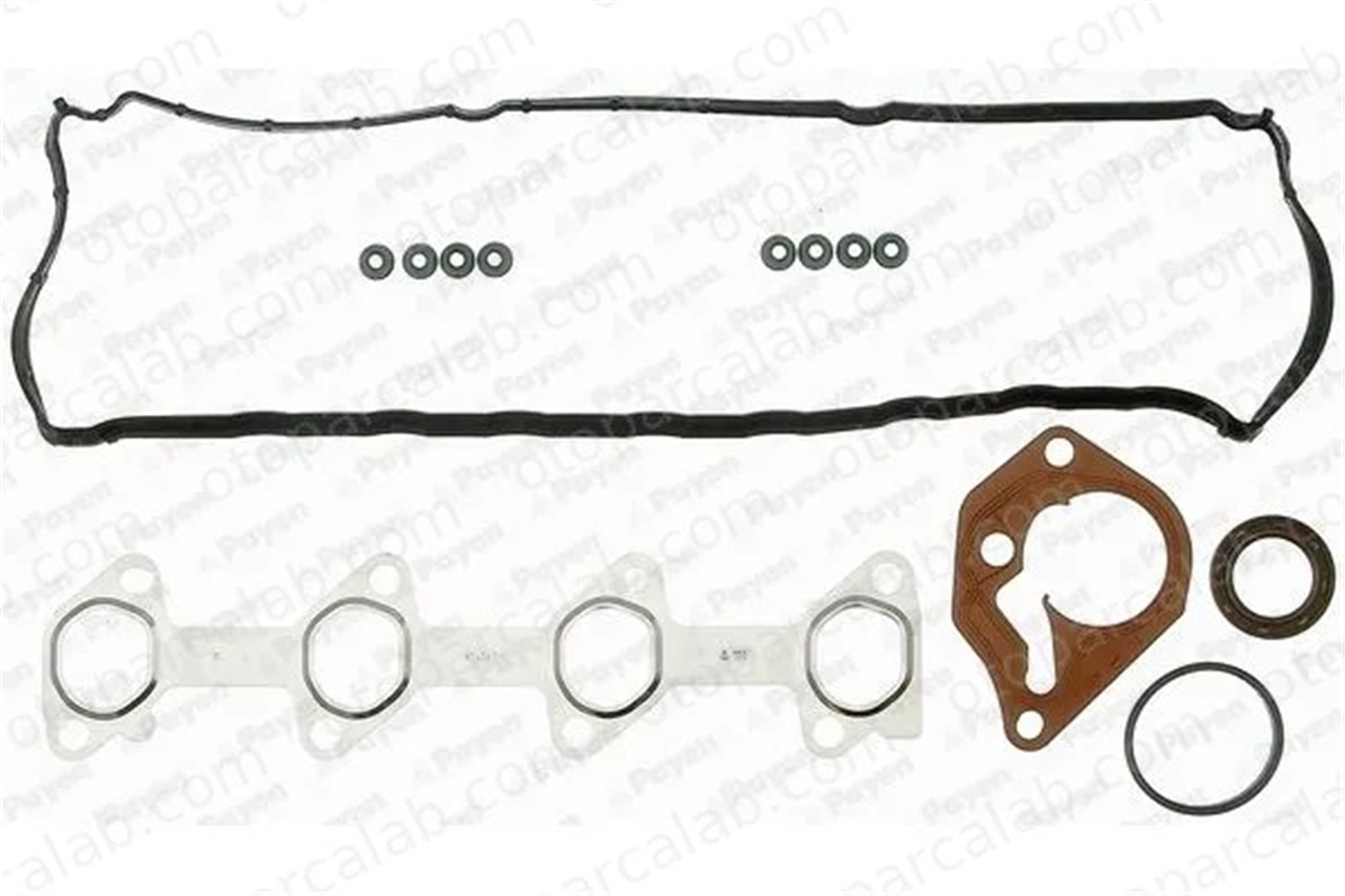 PAYEN CE5200 Takım Conta RENAULT CLIO II KANGOO Express 7701473371 7701475763