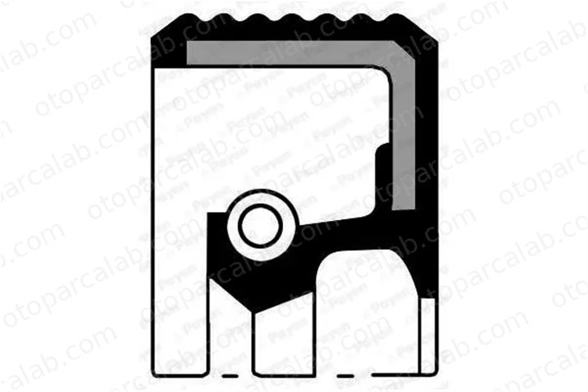 PAYEN NC065 Eksantrik Keçesi OPEL VECTRA B VECTRA B Hatchback A0189977947 69975347