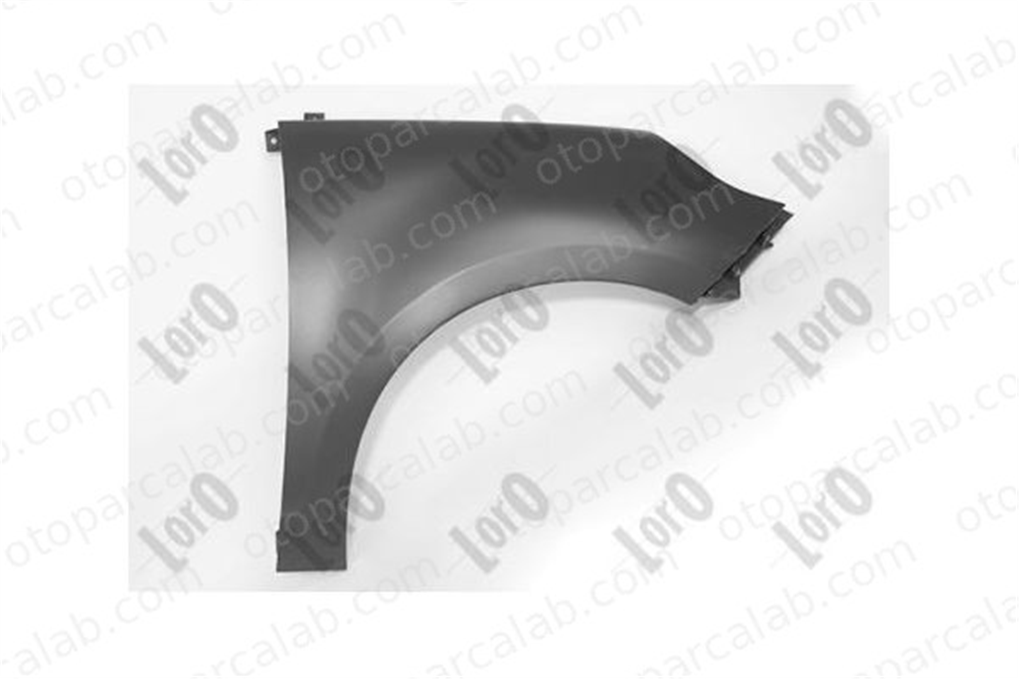 PULO PW-R07W2 Çamurluk Ön Sağ RENAULT SCÉNIC I MPV 631004270R 631002127R