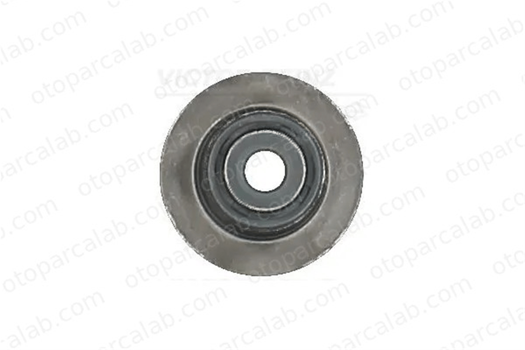 REINZ 70-54206-00 Supap Lastiği CHEVROLET SPARK AVEO / KALOS Sedan 96440882