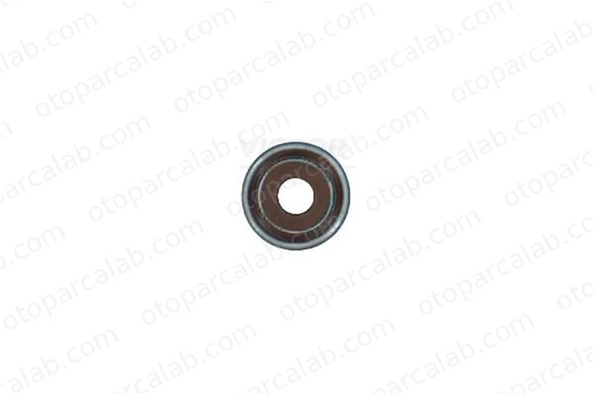 RENAULT ORJINAL 132071969R Supap Lastiği RENAULT CLIO V TALIANT 132071969R