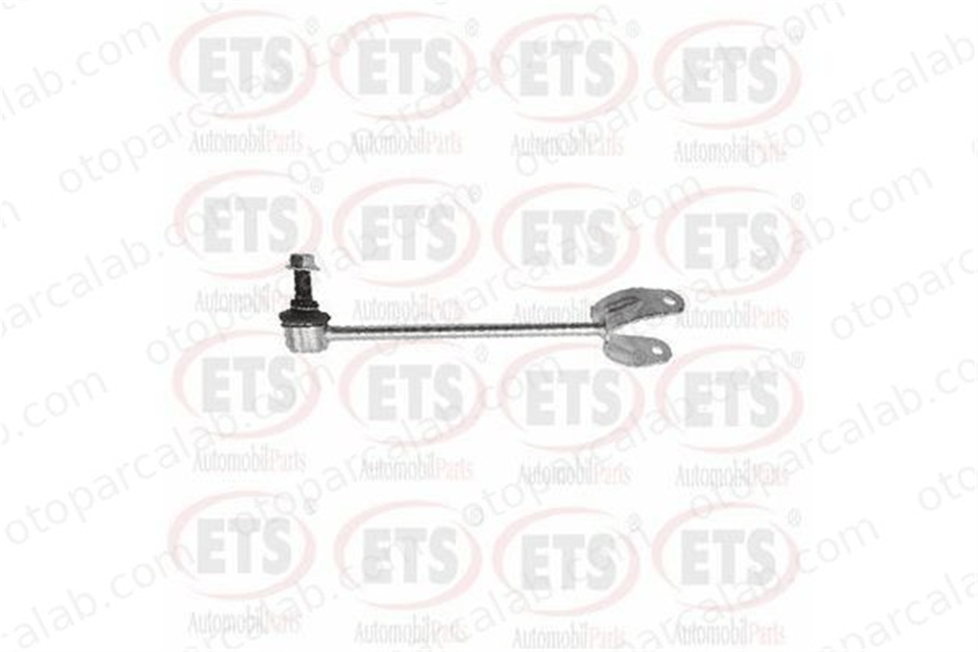 RIW LX4026 Viraj Demir Askı Rotu Arka Sol LEXUS LS 4884050020