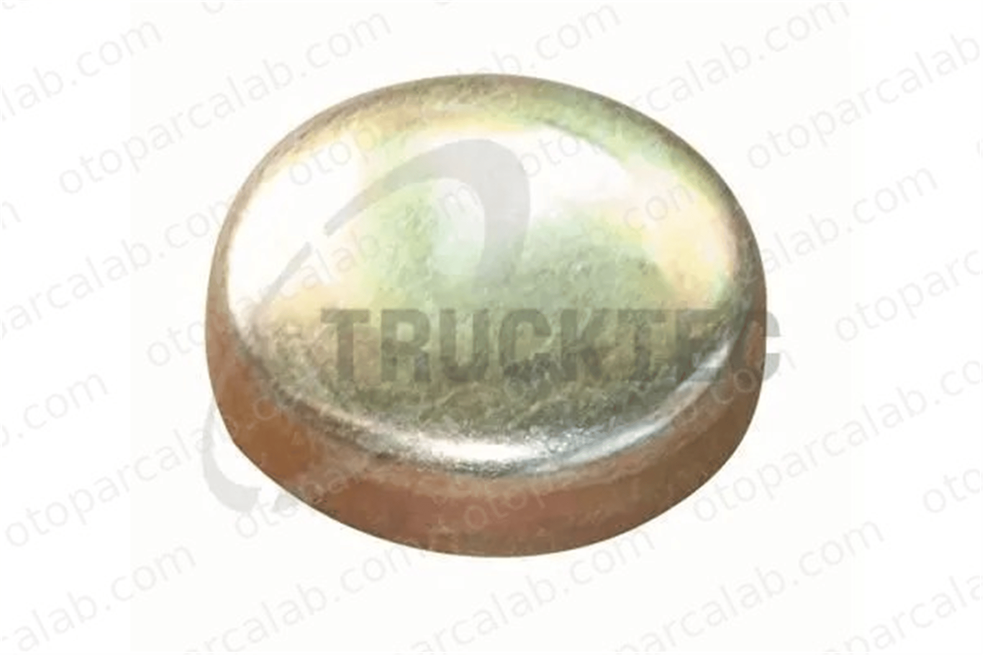 TRUCKTEC 02.67.043 Motor Su Tapası MERCEDES-BENZ AROCS ACTROS MP4 / MP5 A4039970420 5073860AA