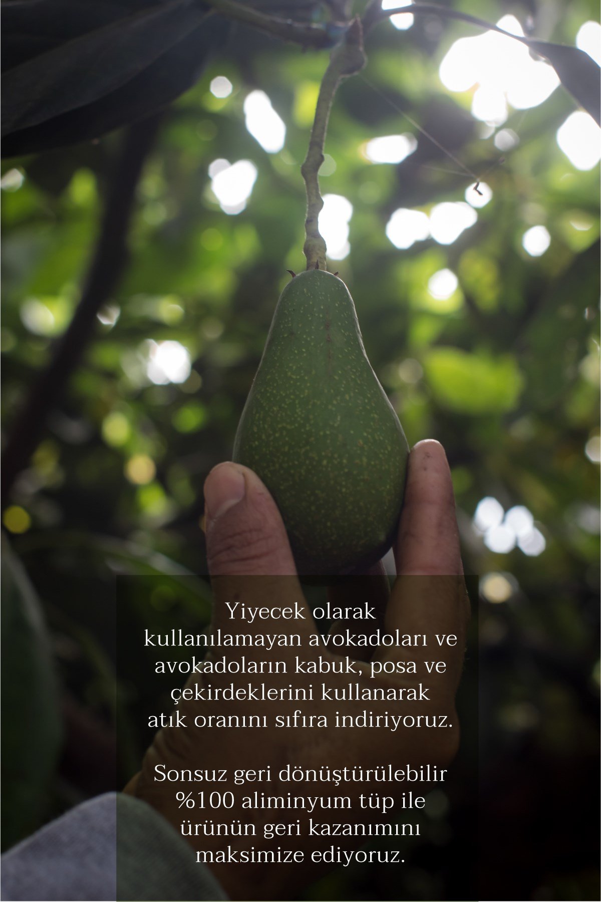 3 Etkili Avakado Balsam 75ml
