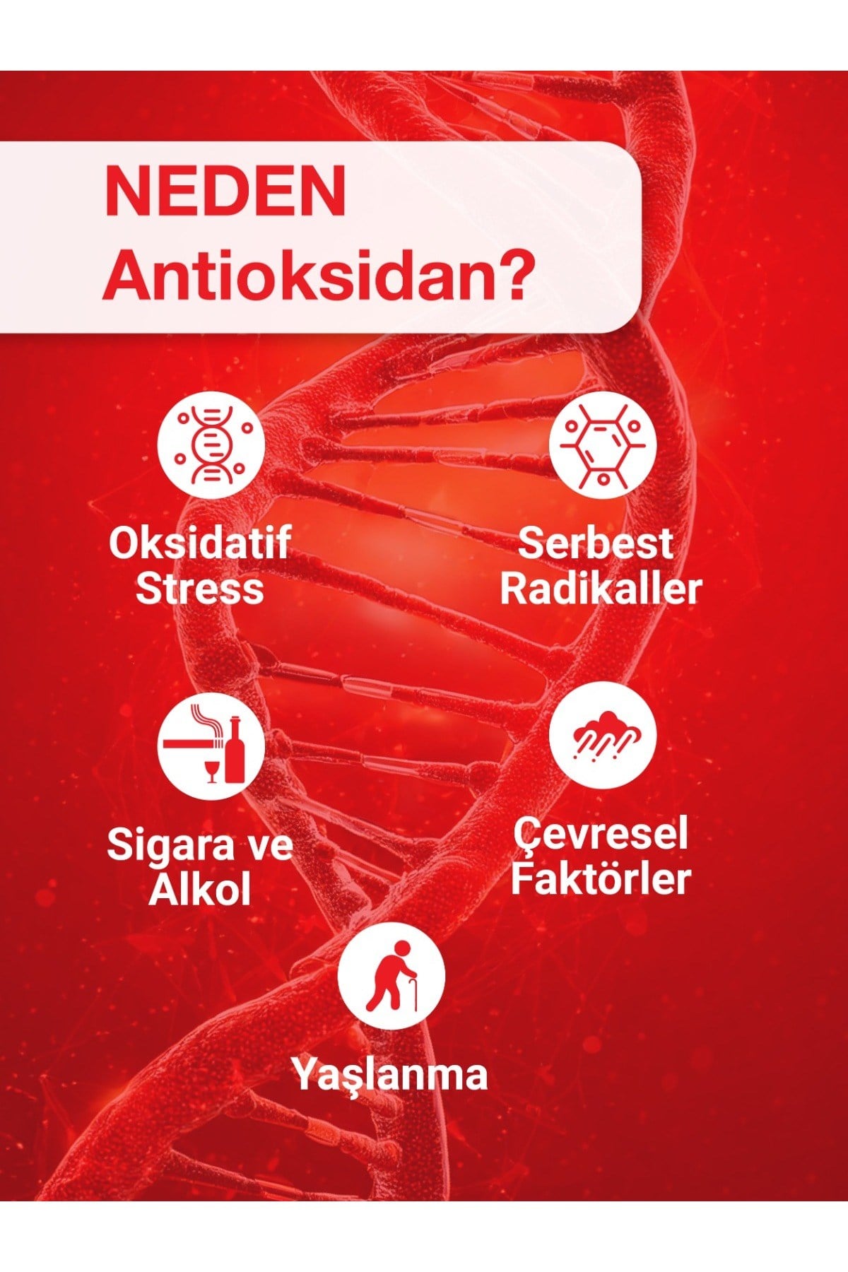 Antioxshot, Bitkisel Antioksidan Kompleks, Likit Antiox Shot, Resveratrol 14'lü