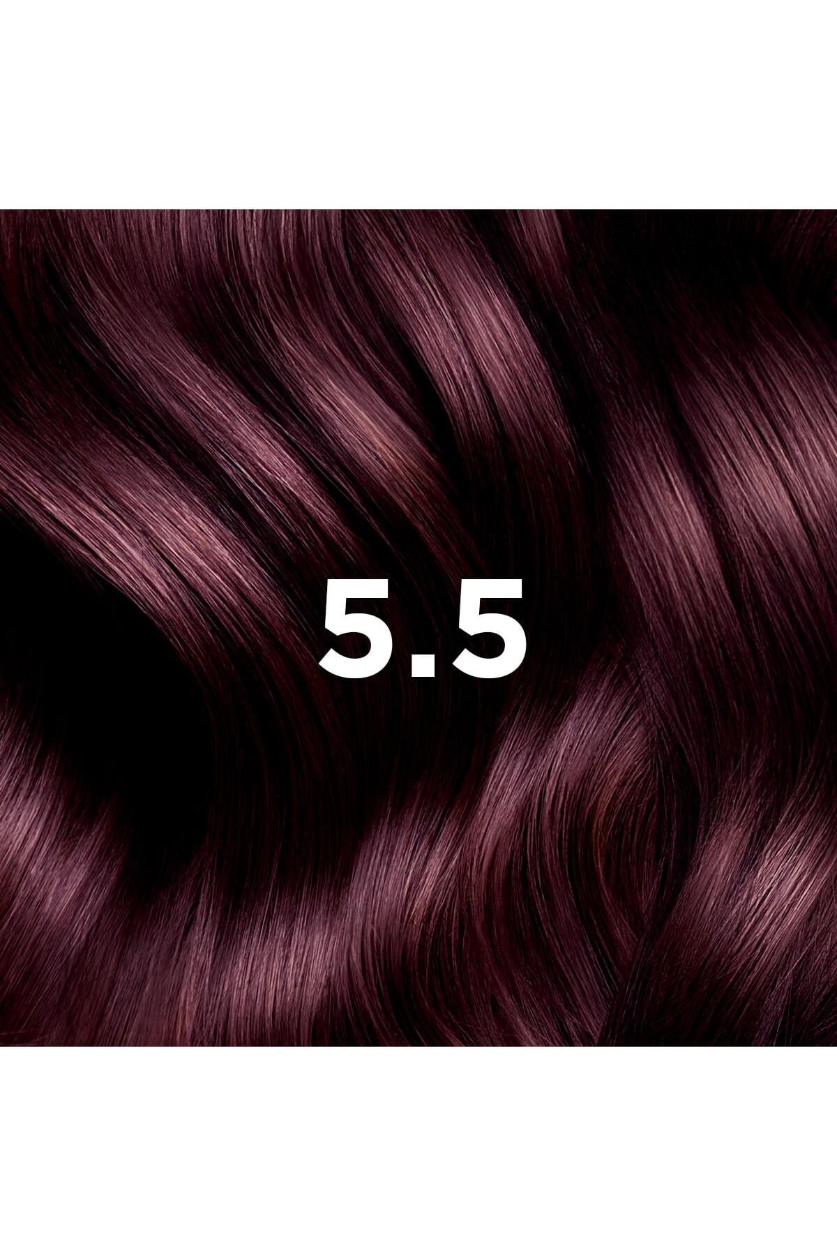 Color Amonyaksız Kalıcı Doğal Içerikli Bitkisel Saç Boyası 5.5 Açık Kestane Akaju