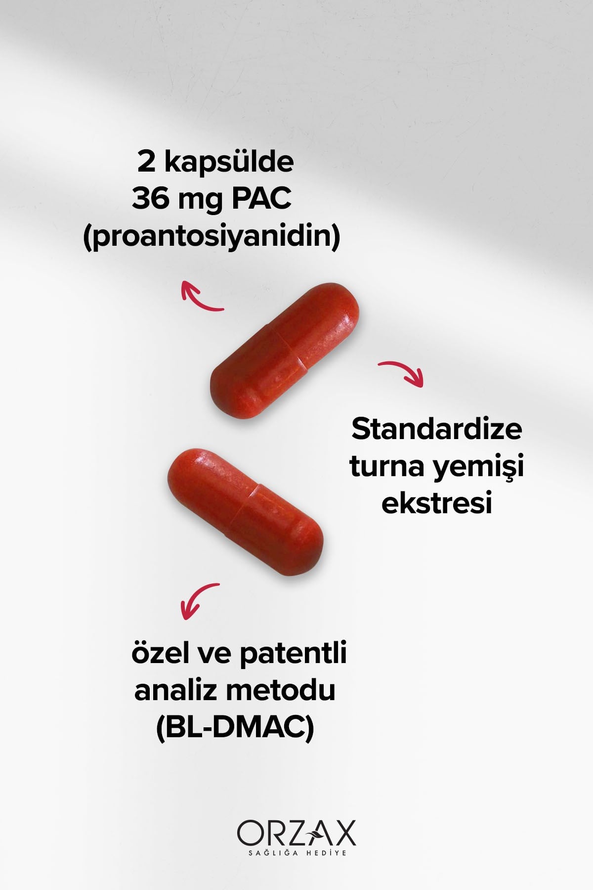 Cranberry - Turna Yemişi Ekstresi Proantosiyanidin (PAC) İçeren Takviye Edici Gıda- 30 Kapsül