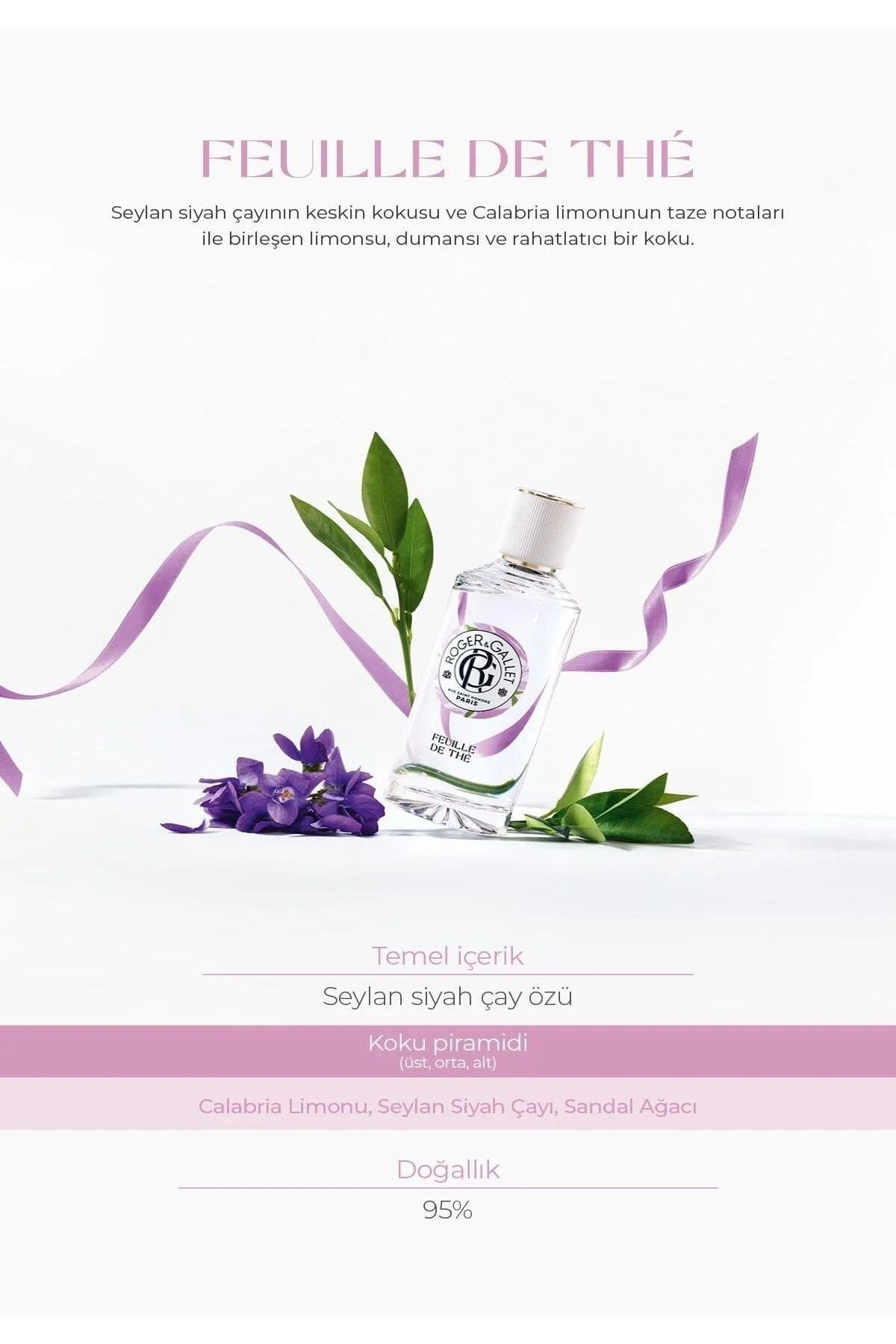 Feuille de Thé Doğal Siyah Çay ve Calabria Limonu Özlü Turunçgil Parfüm EDT 100 ml