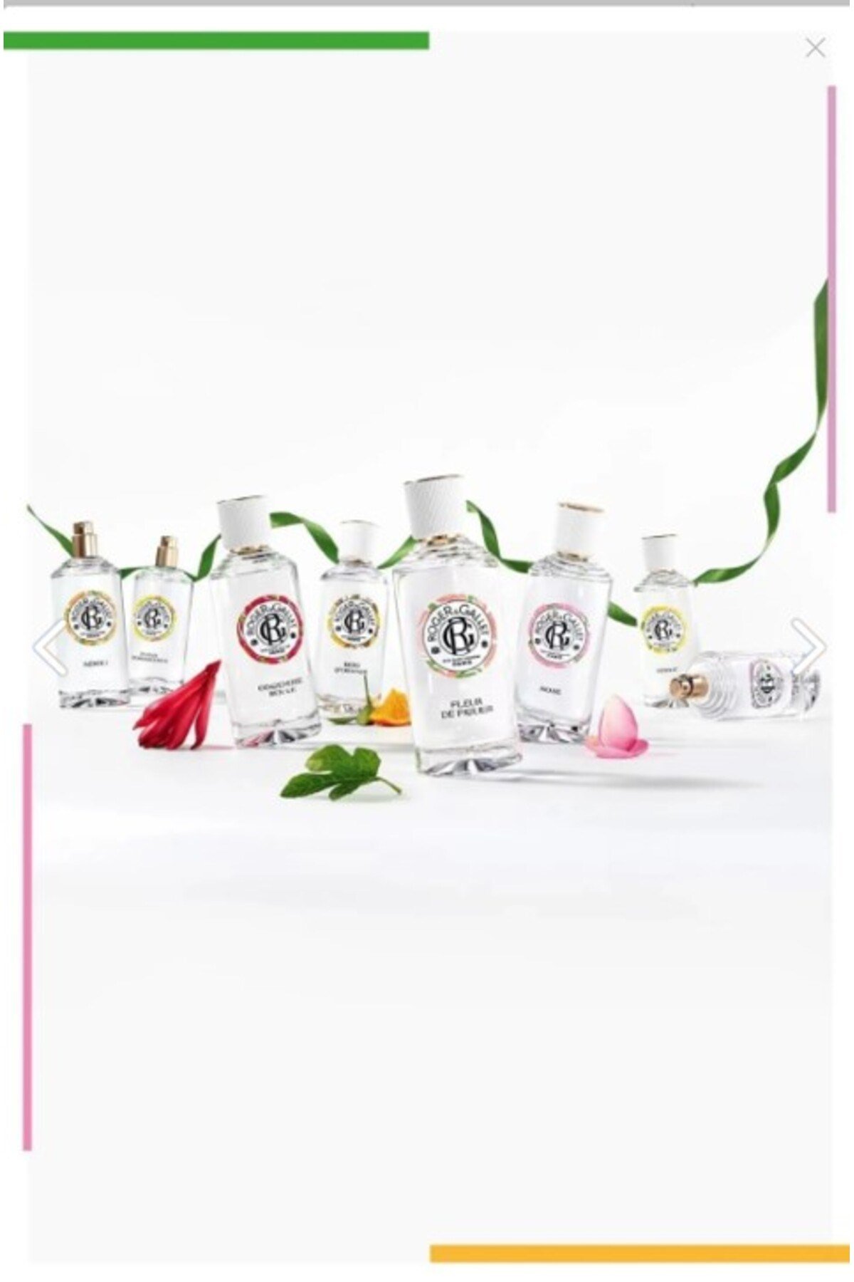 Gingembre Rouge Doğal Zencefil ve Pembe Meyve Özlü Çiçeksi - Meyvemsi Parfüm EDT 100 ml
