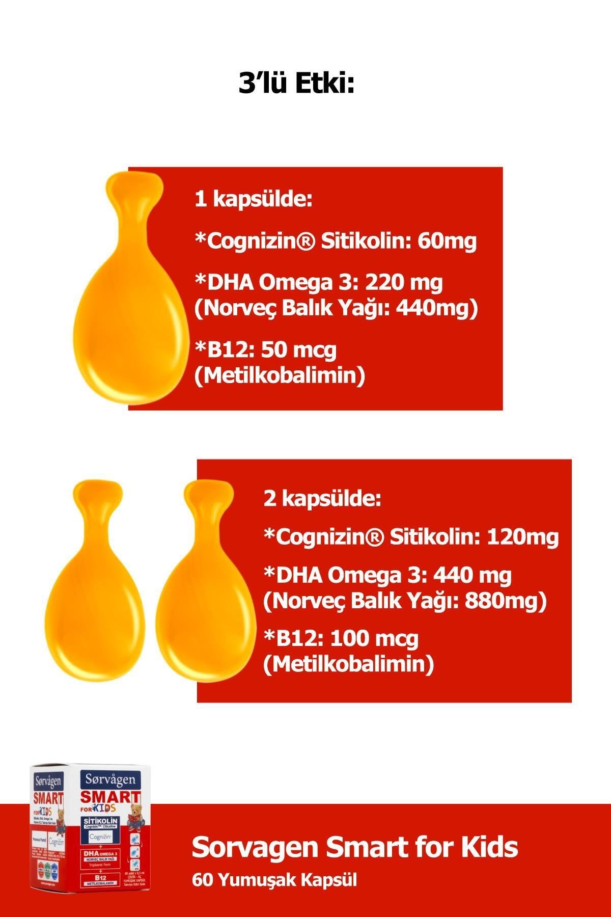KIDS (Çocuklar için) SİTİKOLİN, DHA OMEGA 3 NORVEÇ BALIK YAĞI, B12 60 KAPSÜL