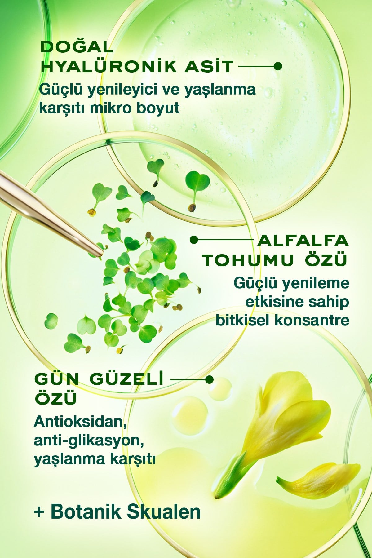 Nuxuriance Ultra Yaşlanma Karşıtı Gece Kremi 50 ml