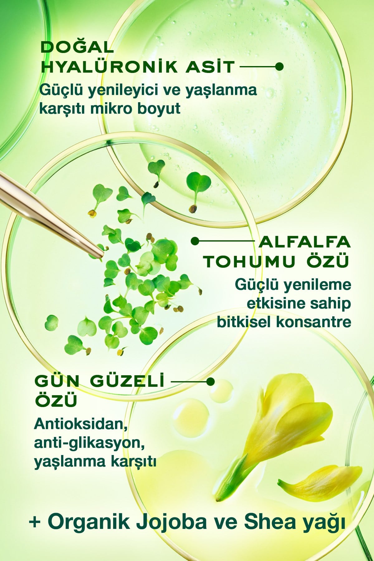 Nuxuriance Ultra Yaşlanma Karşıtı Kuru Cilt Kremi 50 ml