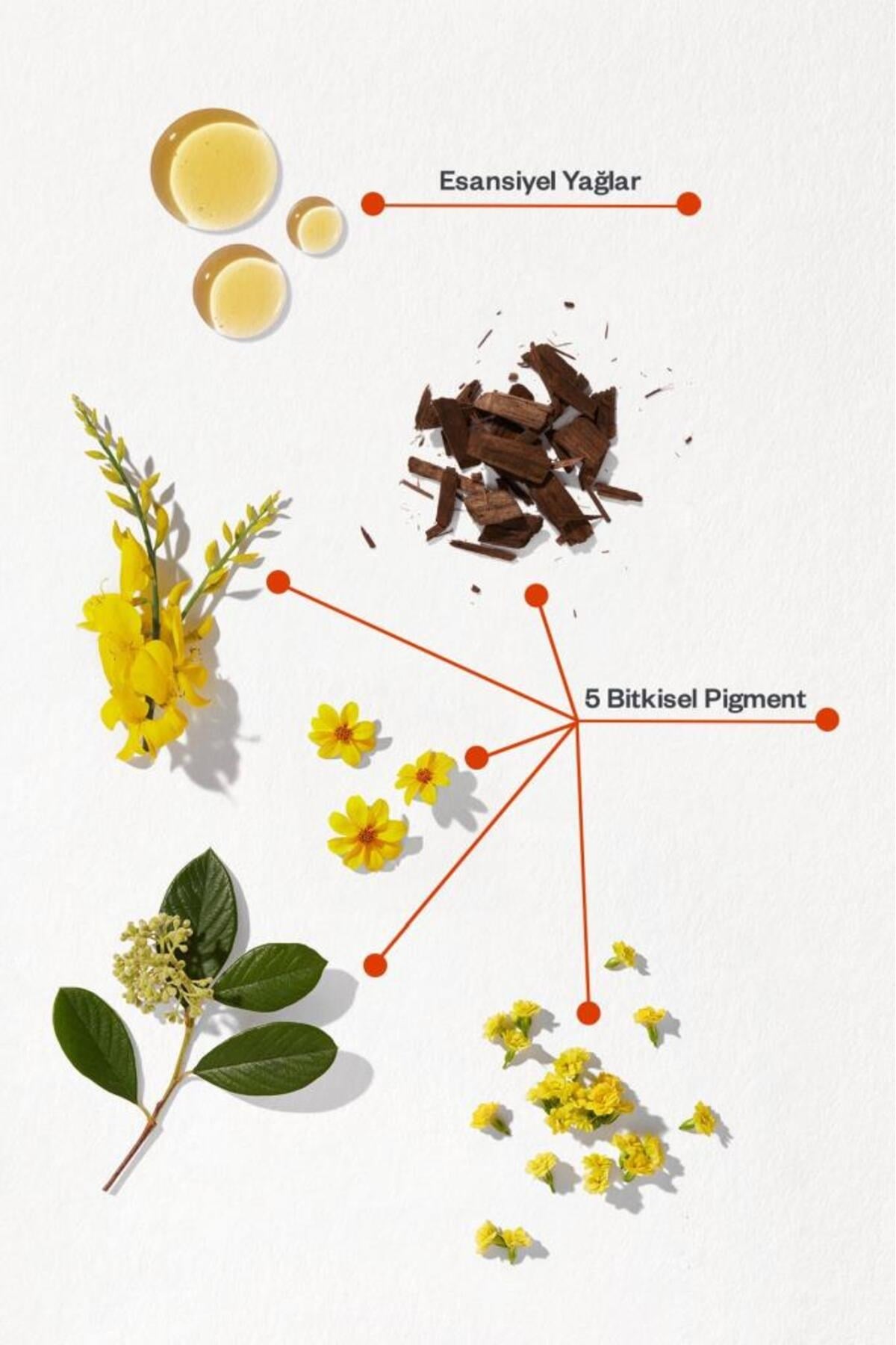 Phytocolor Bitkisel Saç Boyası ''1 Siyah''