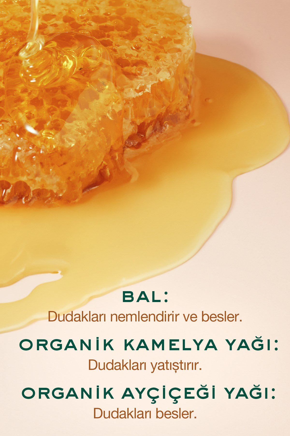 Rêve de Miel Nemlendirici ve Koruyucu Dudak Kremi