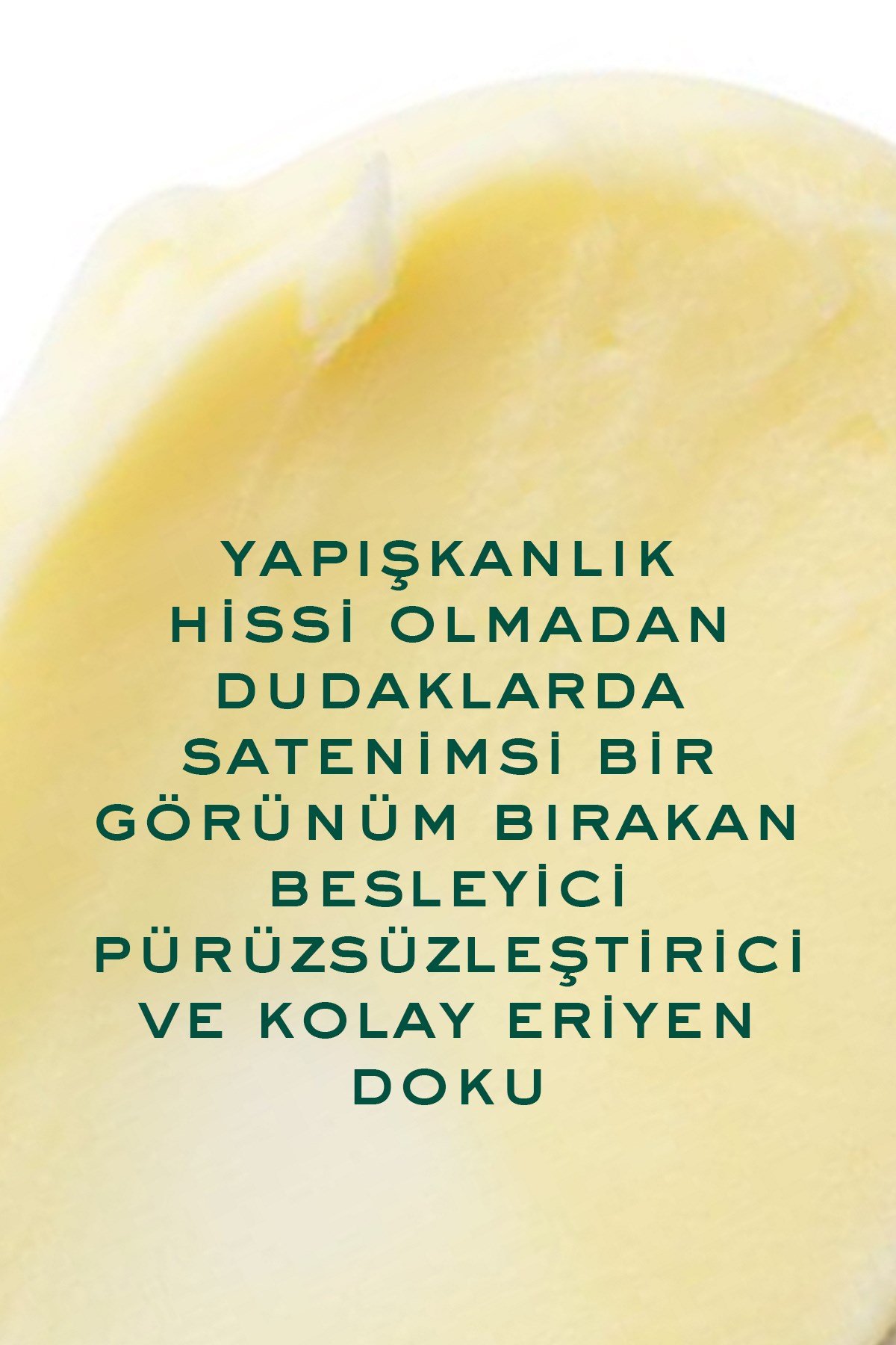 Rêve de Miel Nemlendirici ve Koruyucu Dudak Kremi