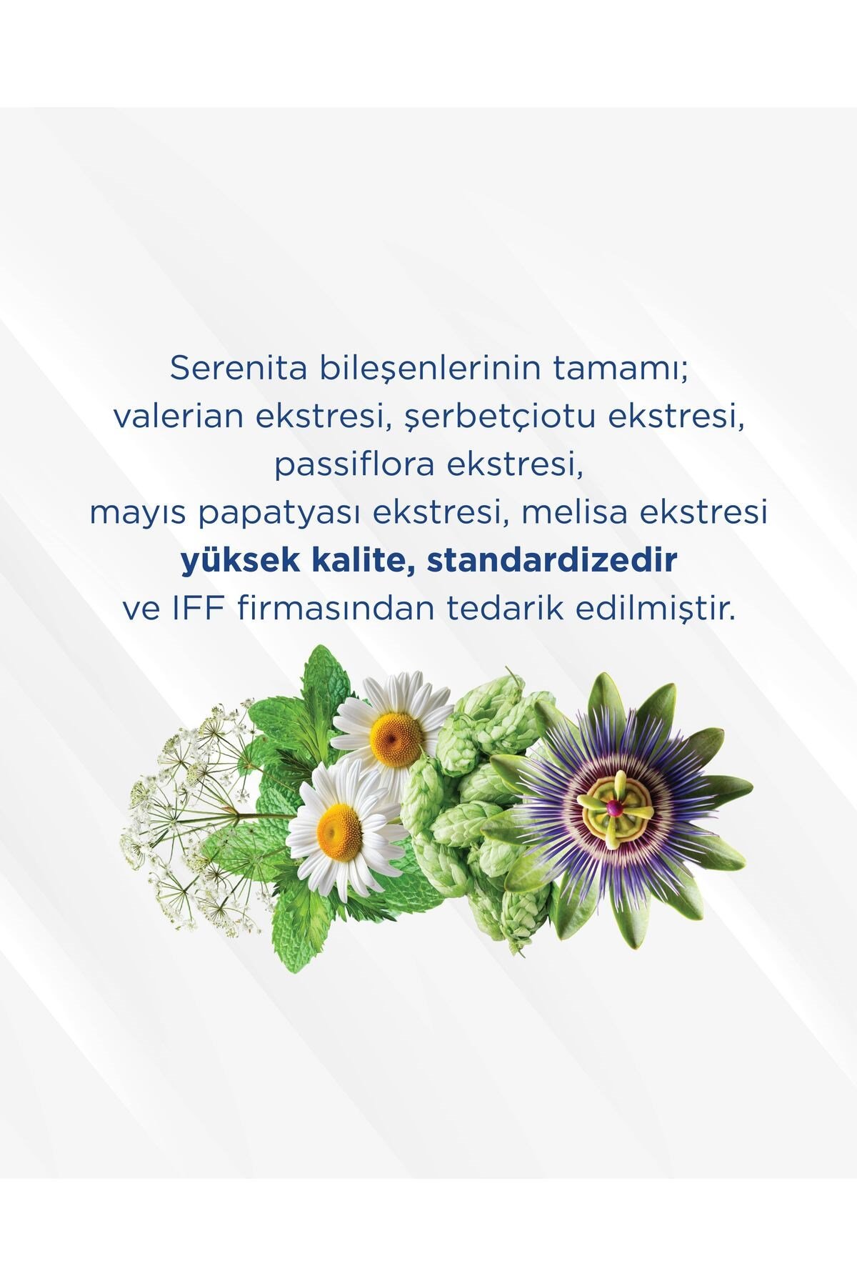 Serenita Valerian Ekstresi 60 Kapsül