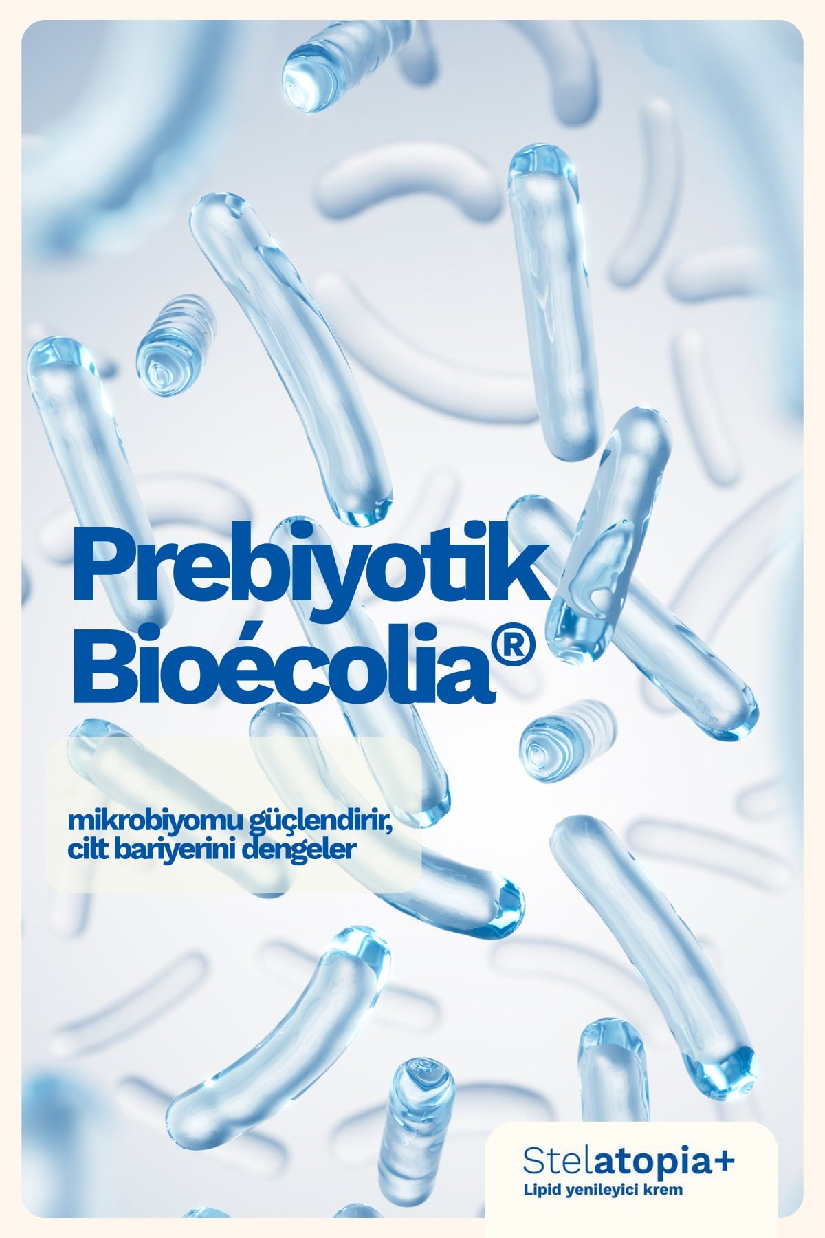 Stelatopia+ Lipit Yenileyici Krem 150 ml