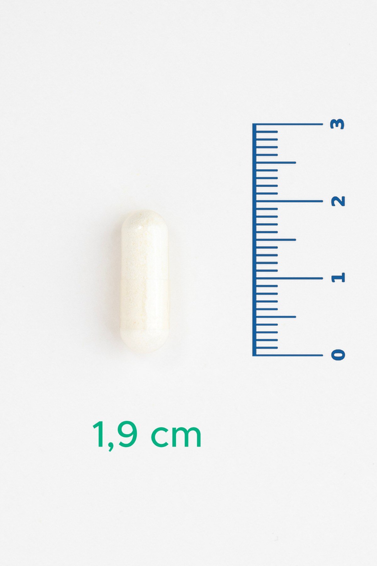 V-Ceramide - Seramid İçeren Takviye Edici Gıda 30 Kapsül