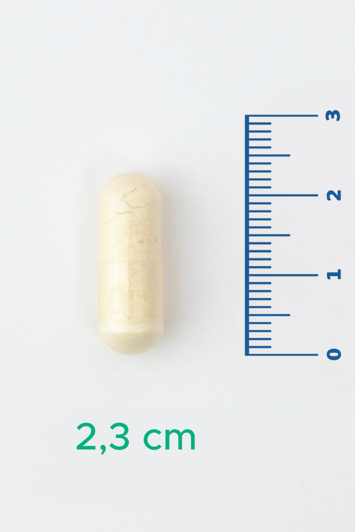 V-Probiotics with Enzymes - Enzimli Probiyotik - Glutensiz 30 Kapsül - 10 milyar KOB - Probiyotikler ve Sindirim Enzimleri Beraber