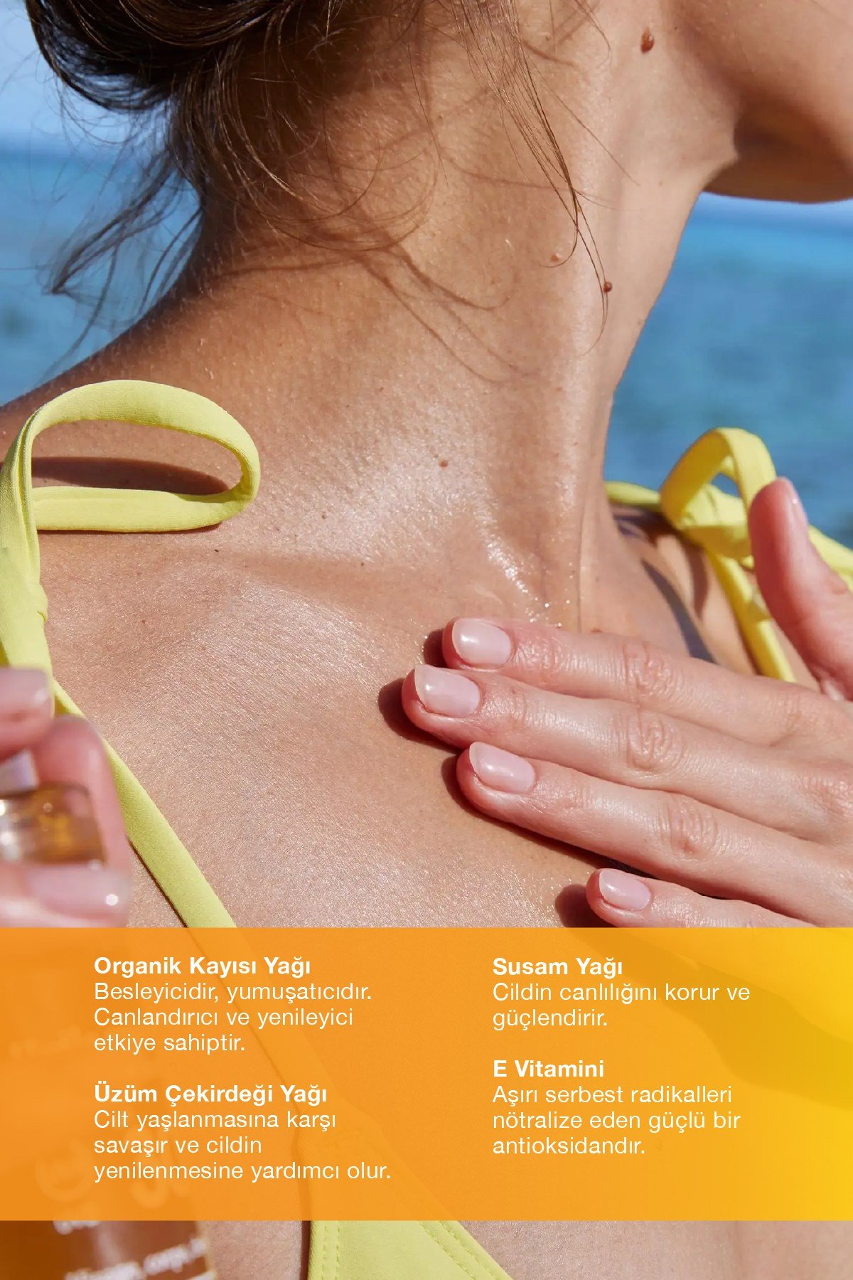 YÜKSEK KORUMALI GÜNEŞ KORUYUCU YAĞ Organik Kayısı Yağı İçeren SPF 30 150 Ml