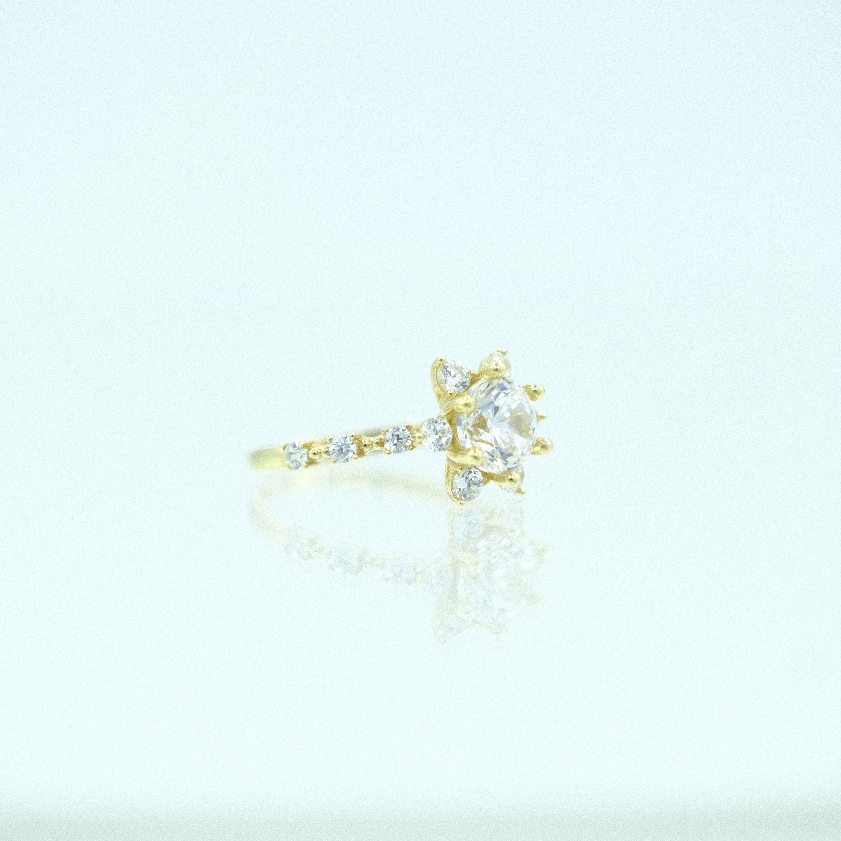 Solis-Yz000039