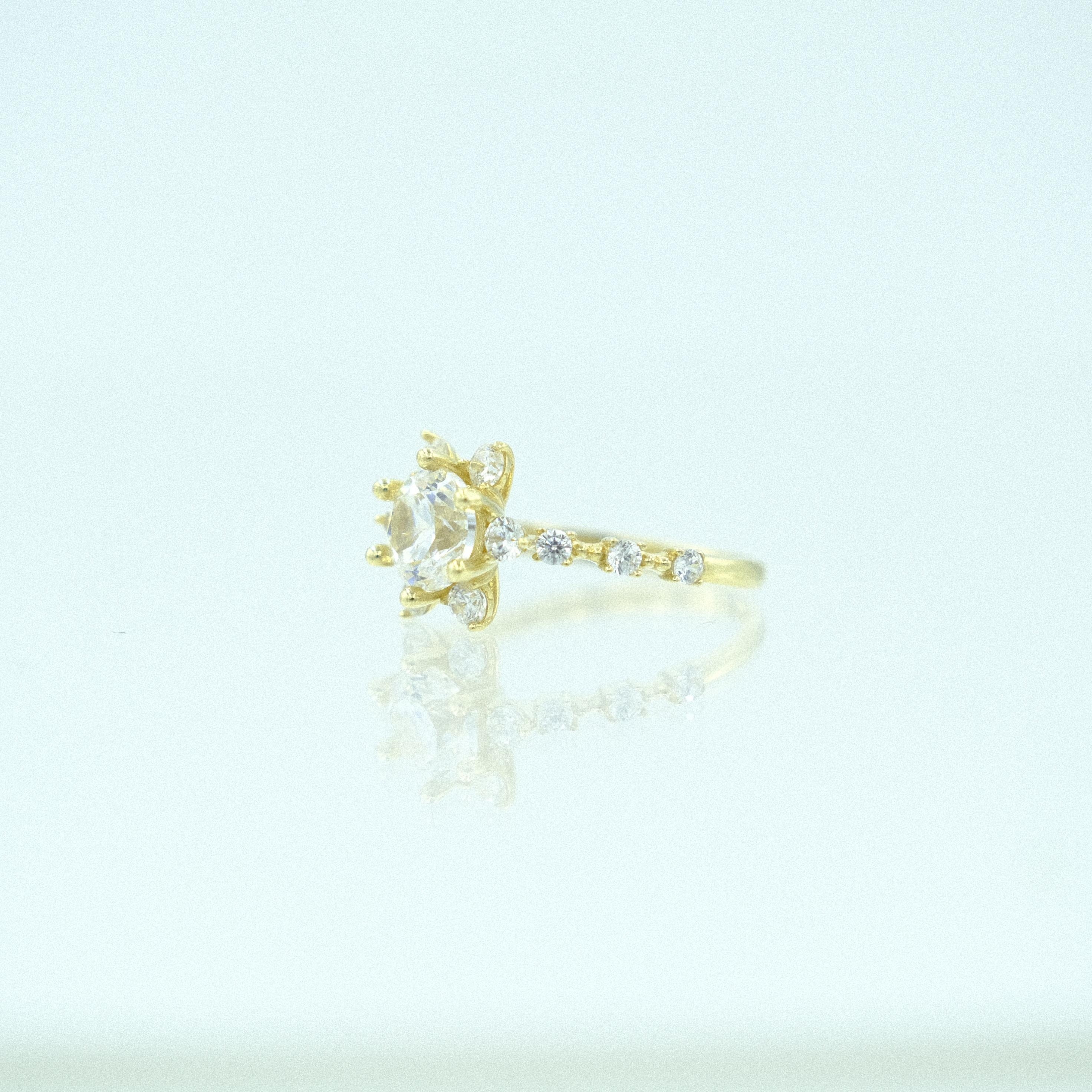Solis-Yz000039